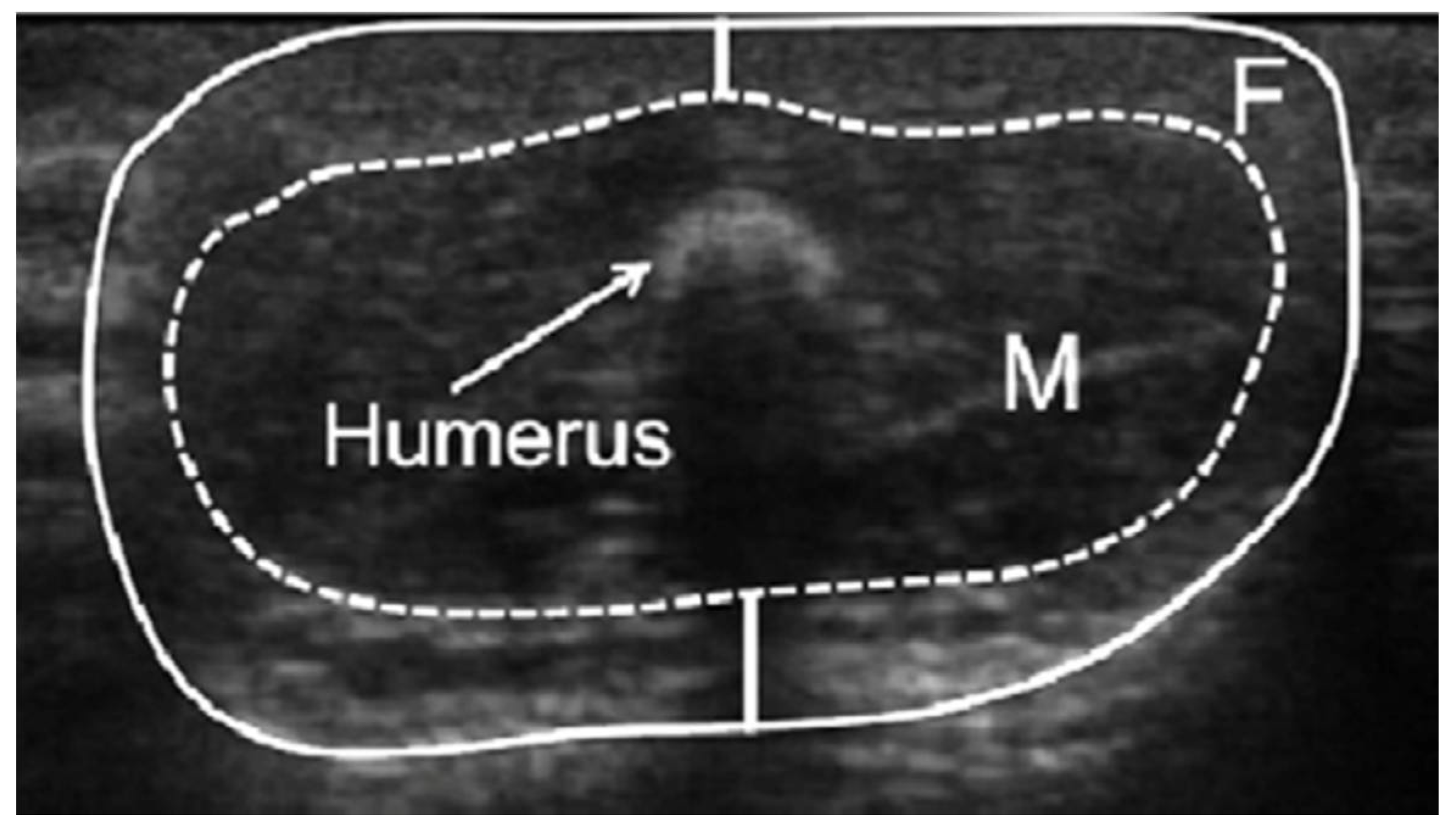 Life 12 00493 g001 550