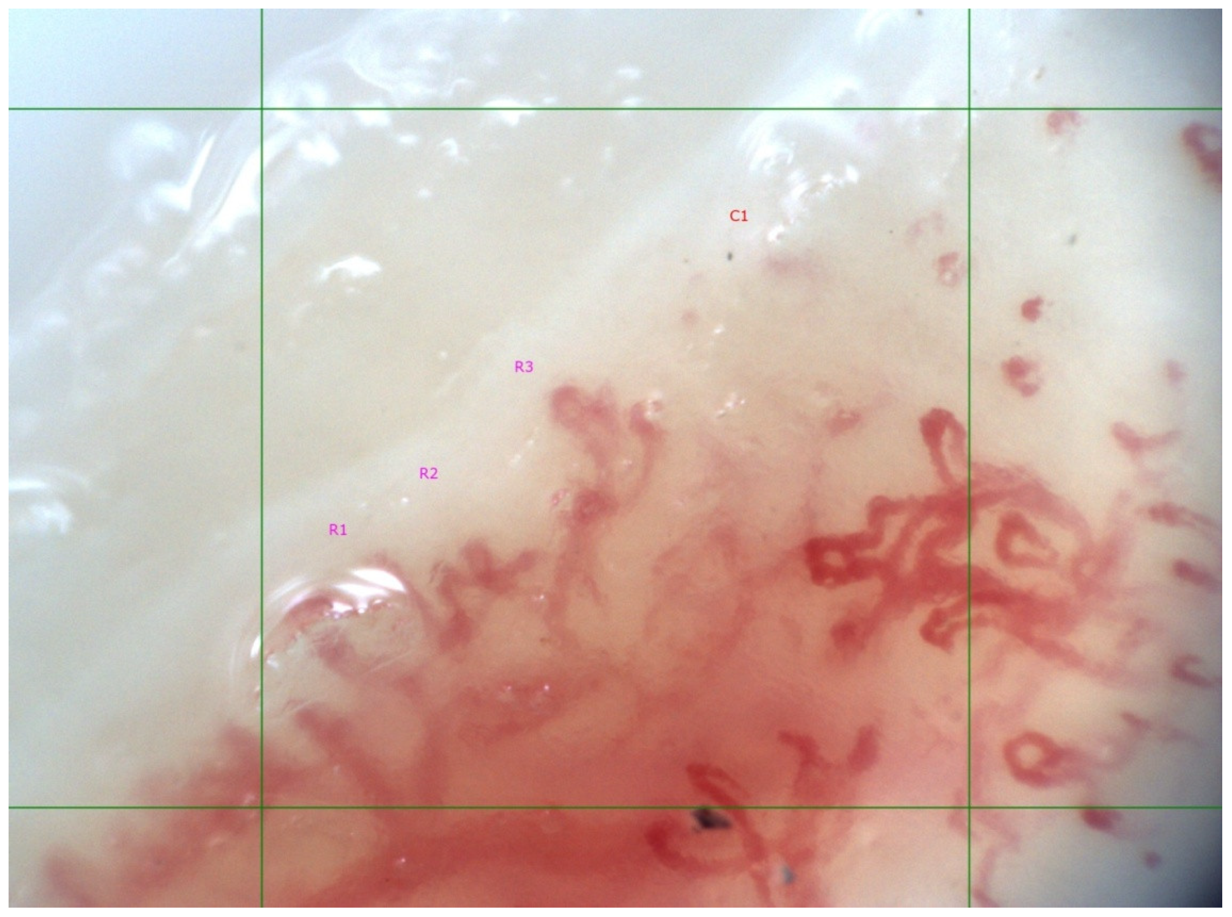 Life 12 00498 g001 Life 12 00498 g001