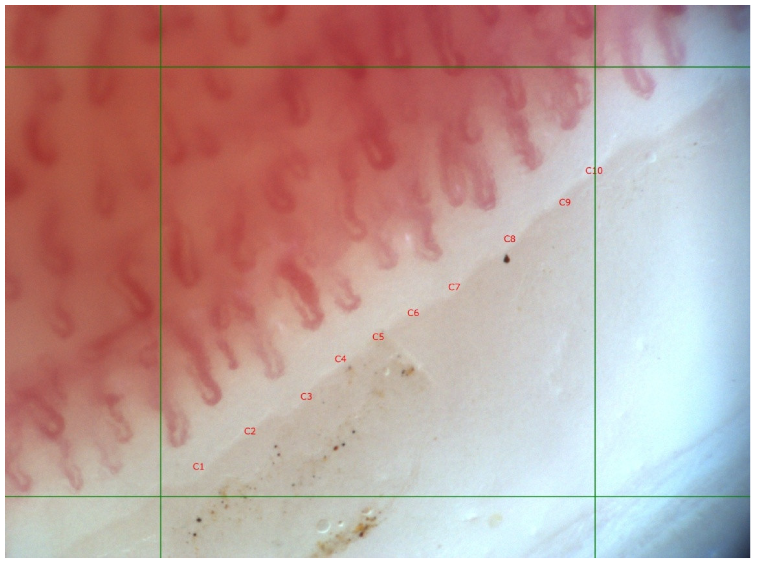 Life 12 00498 g002 Life 12 00498 g002