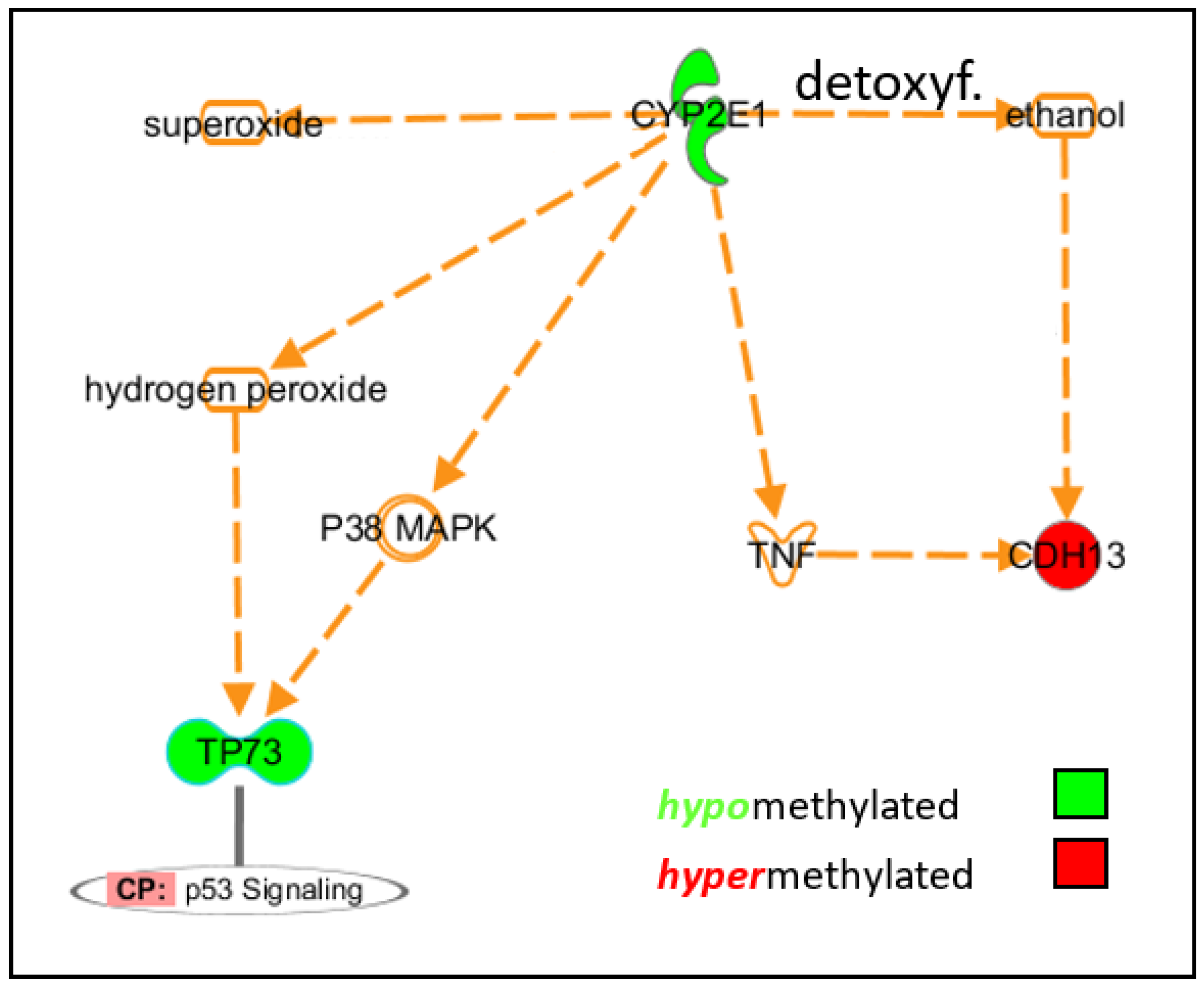 Life 12 00502 g003 550