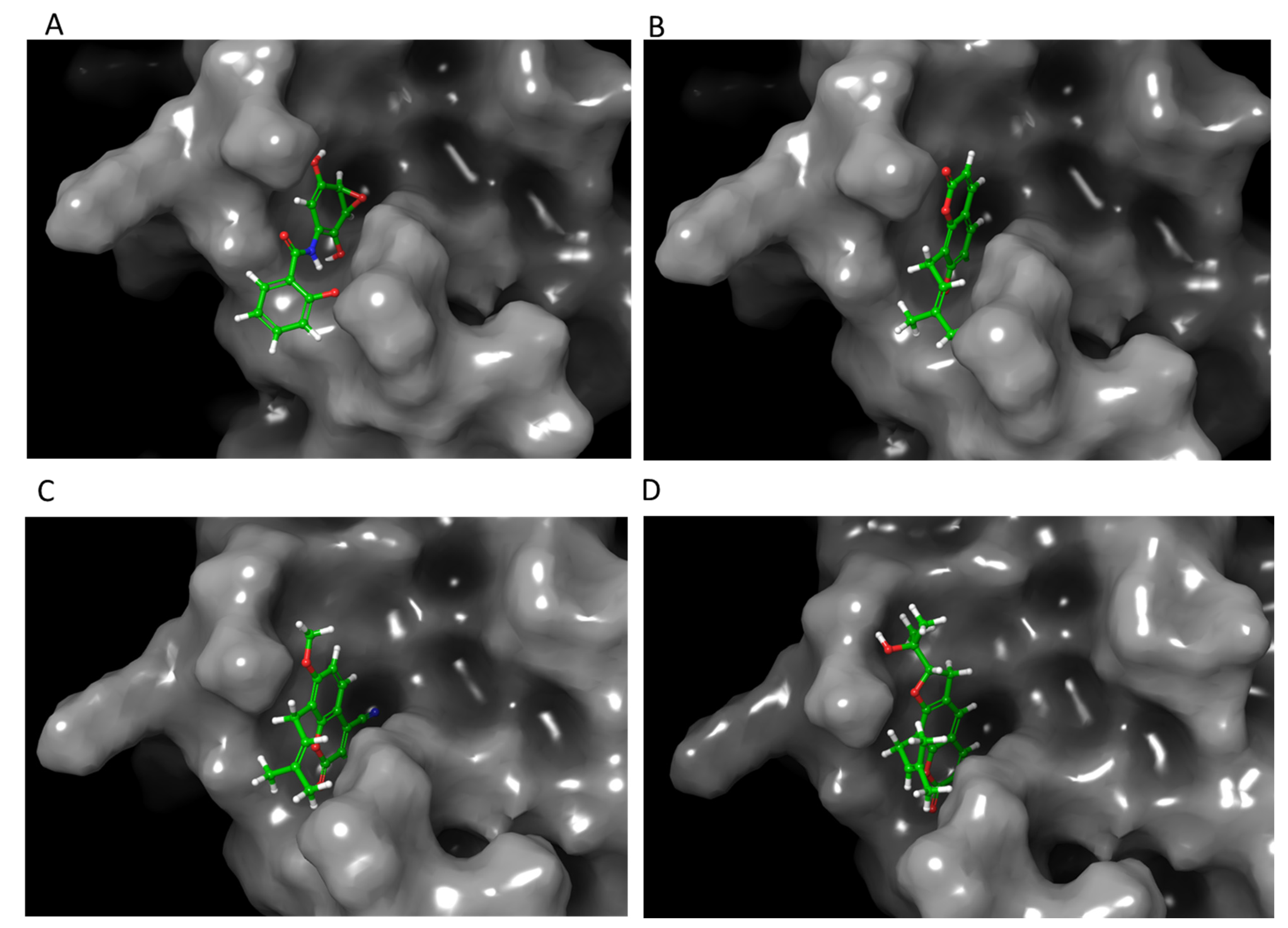 Life 12 00505 g002 550