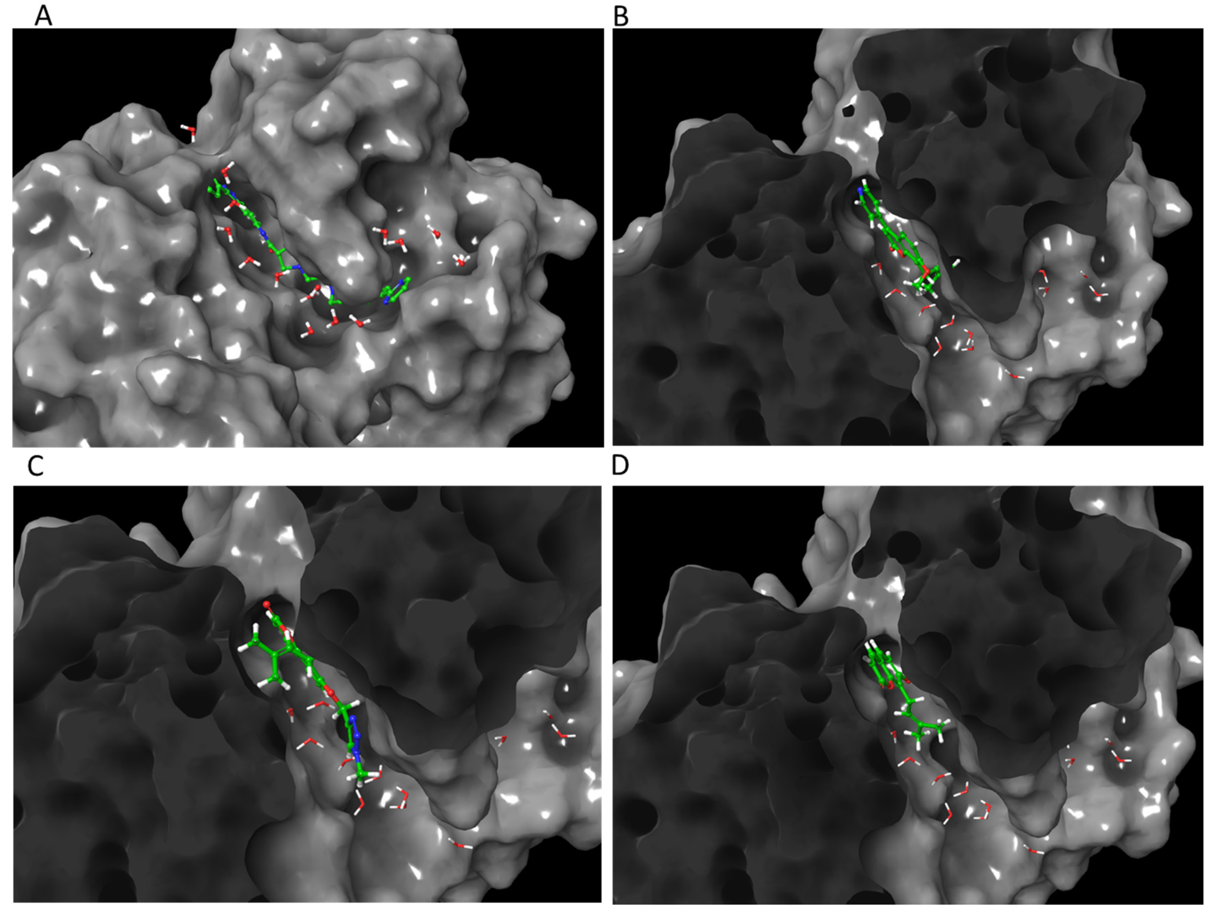 Life 12 00505 g004 550