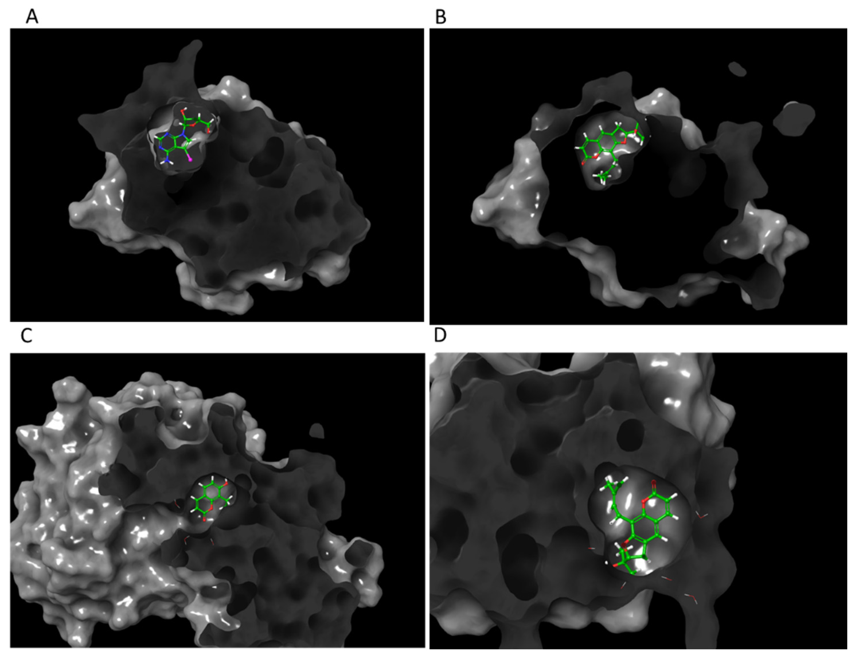 Life 12 00505 g006 550