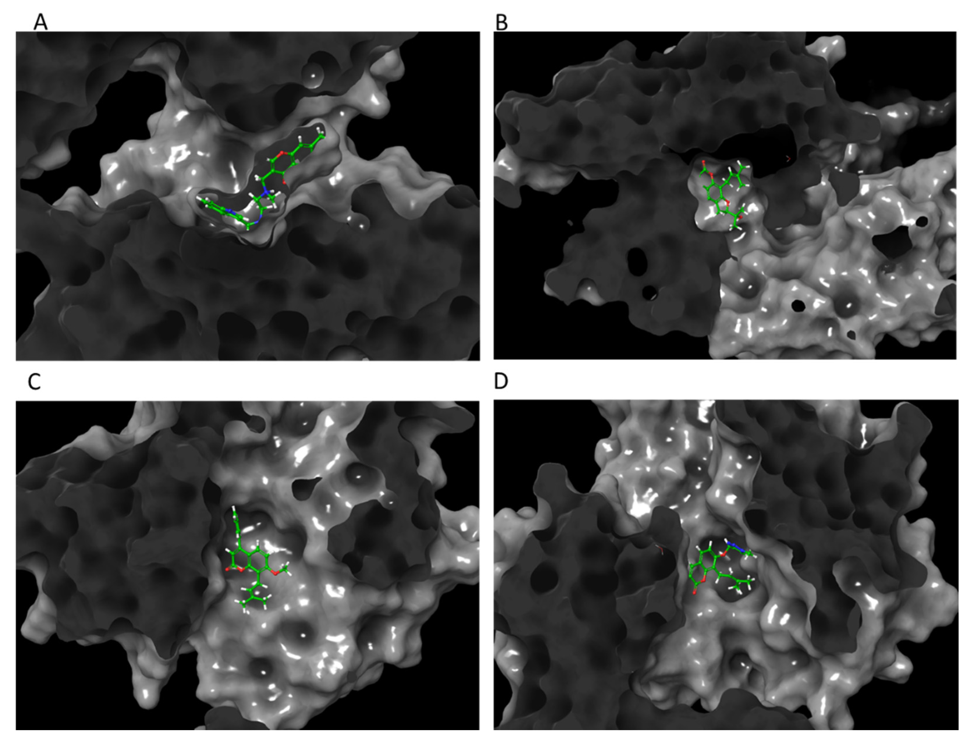 Life 12 00505 g008 550