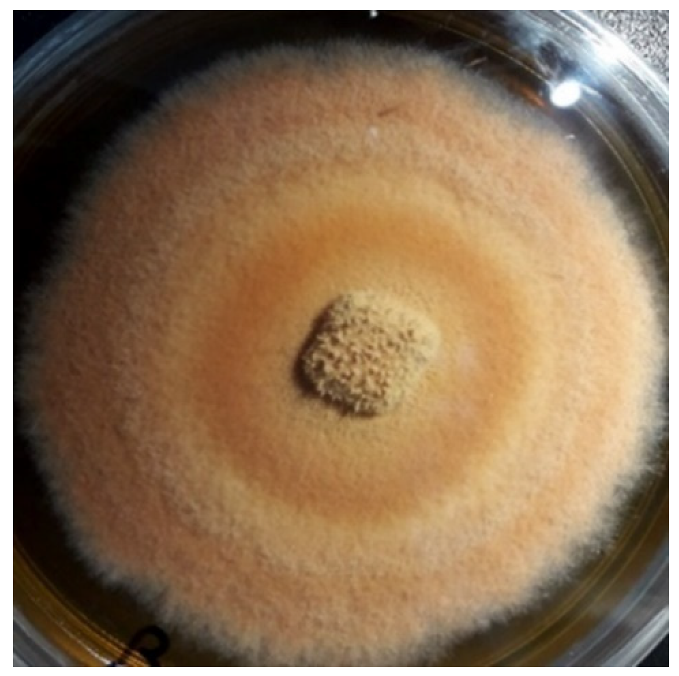 Life 12 00507 g001 550