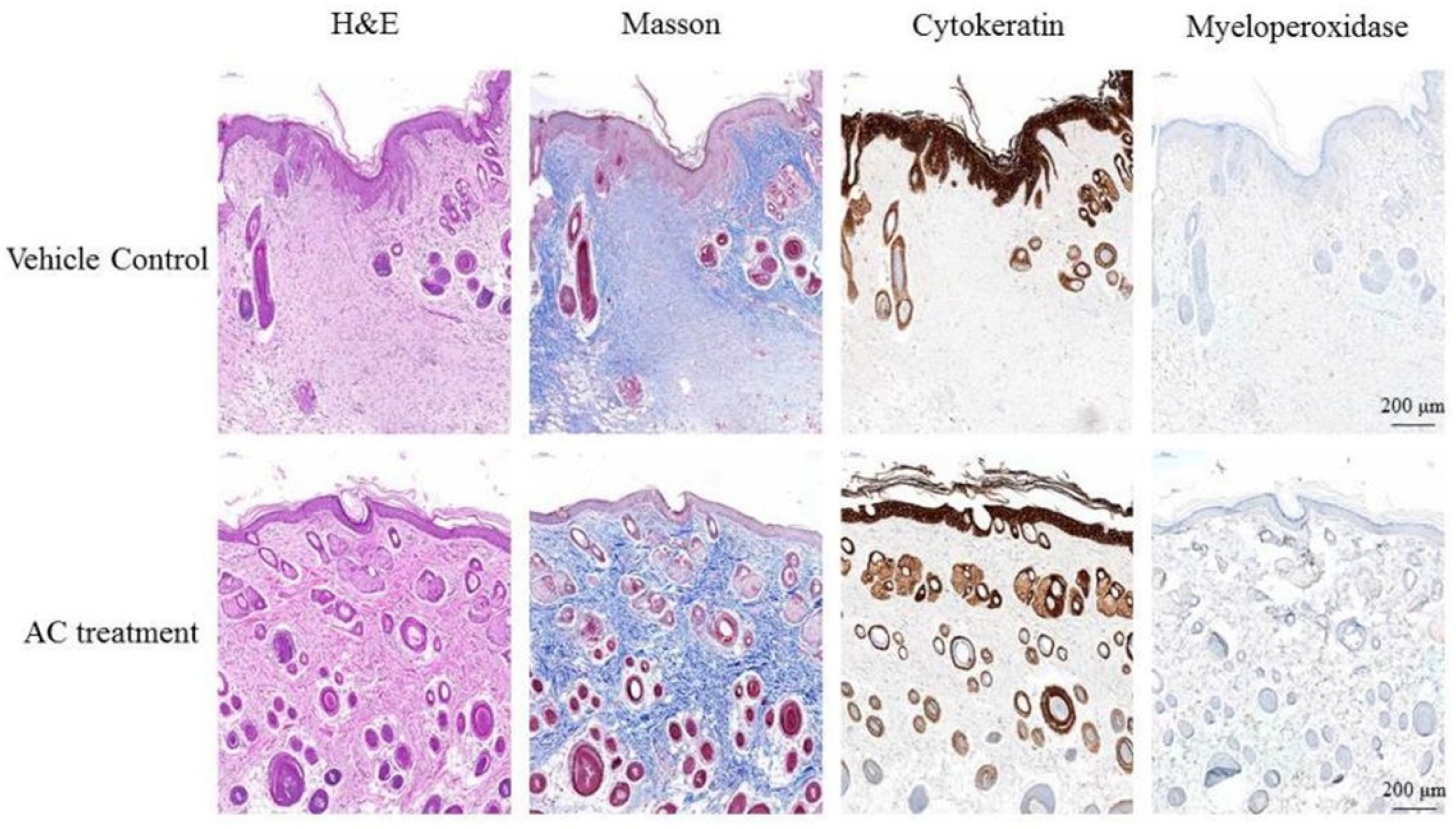 Life 12 00507 g003 550