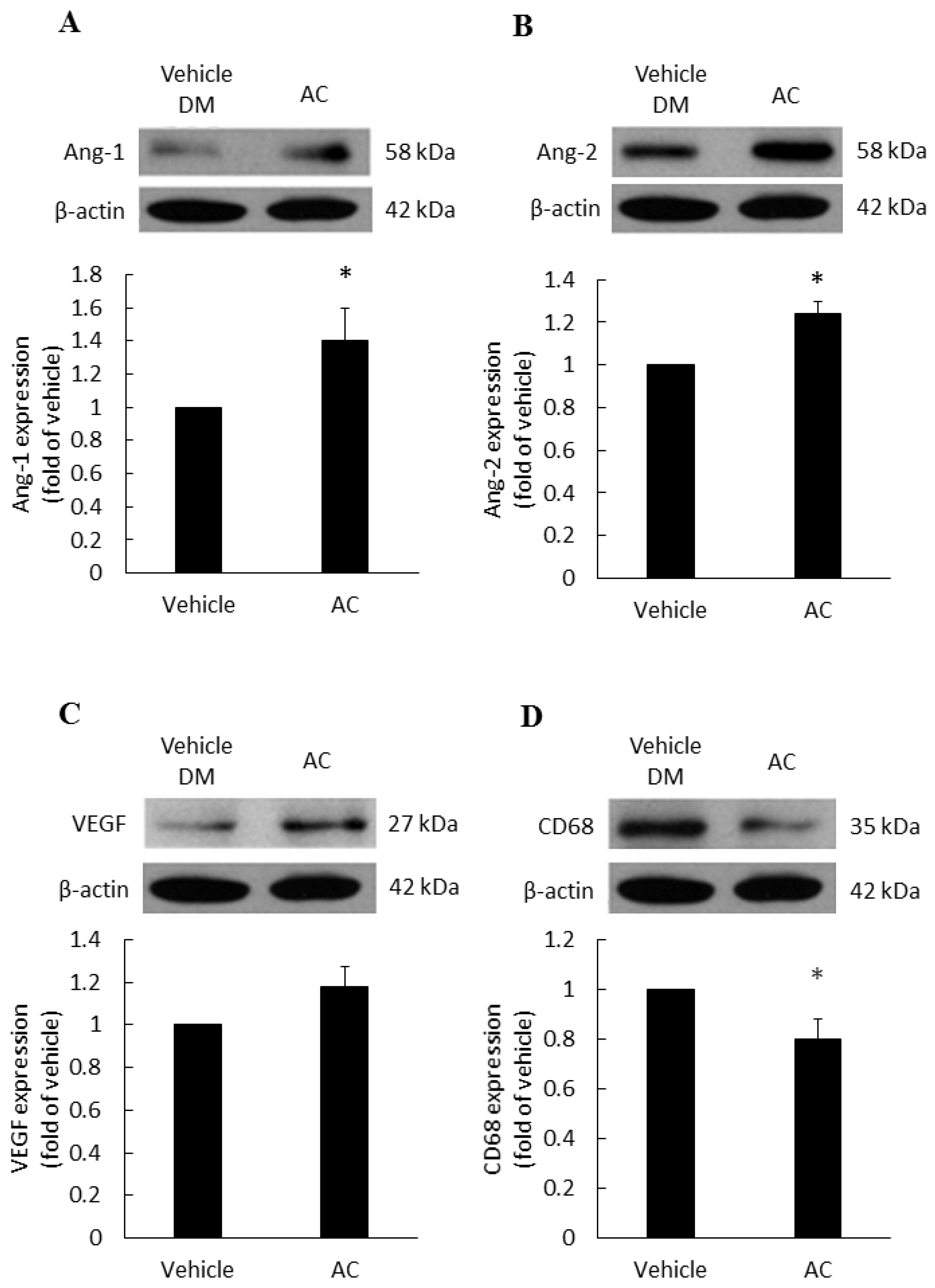 Life 12 00507 g004 550