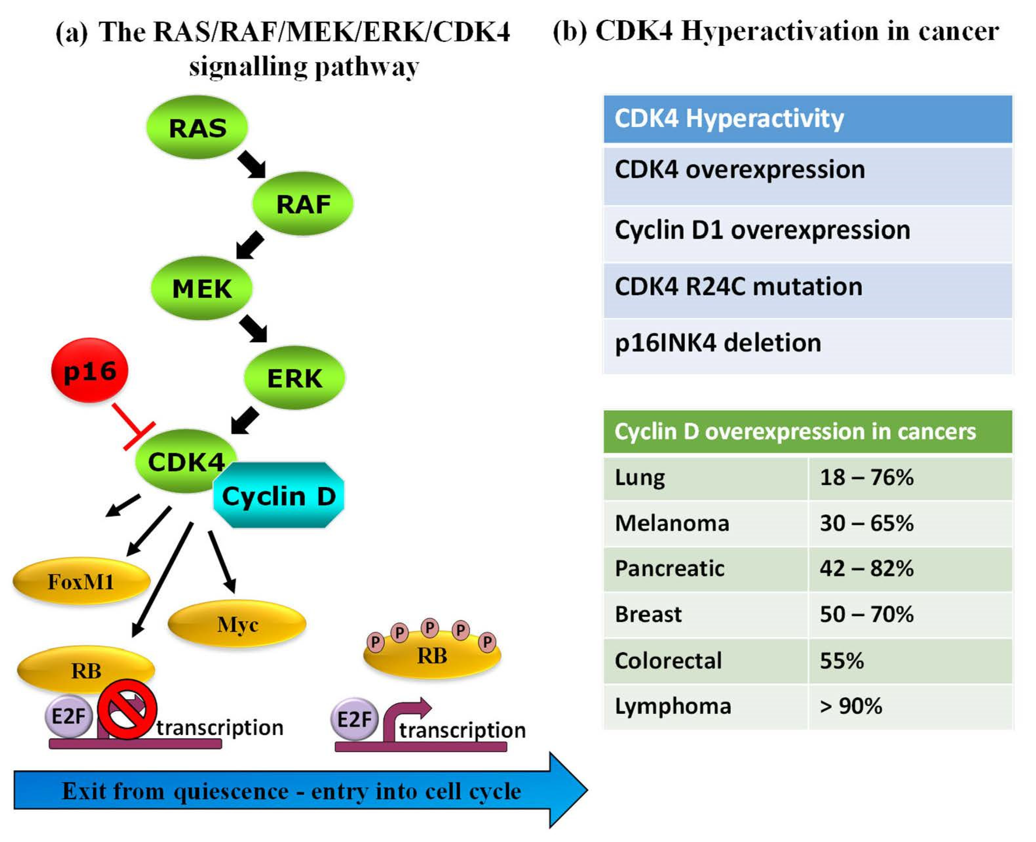 Life 12 00516 g001 Life 12 00516 g001