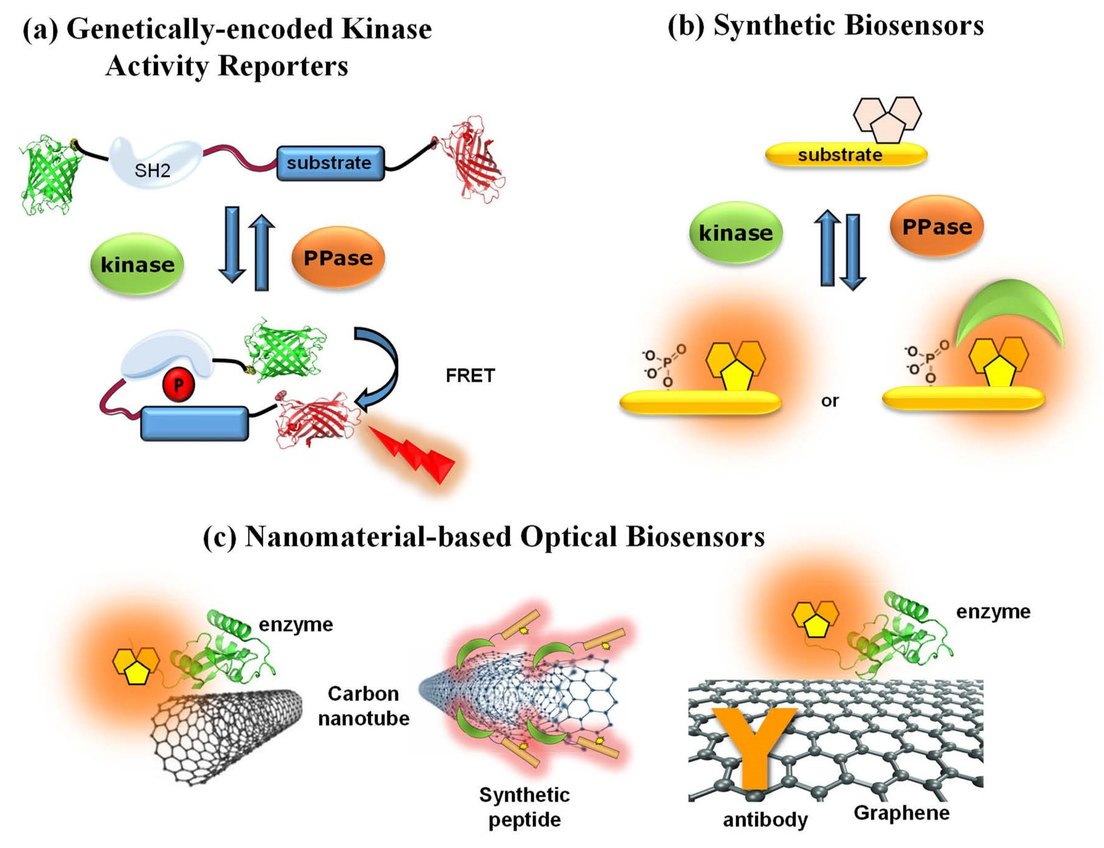 Life 12 00516 g003 Life 12 00516 g003