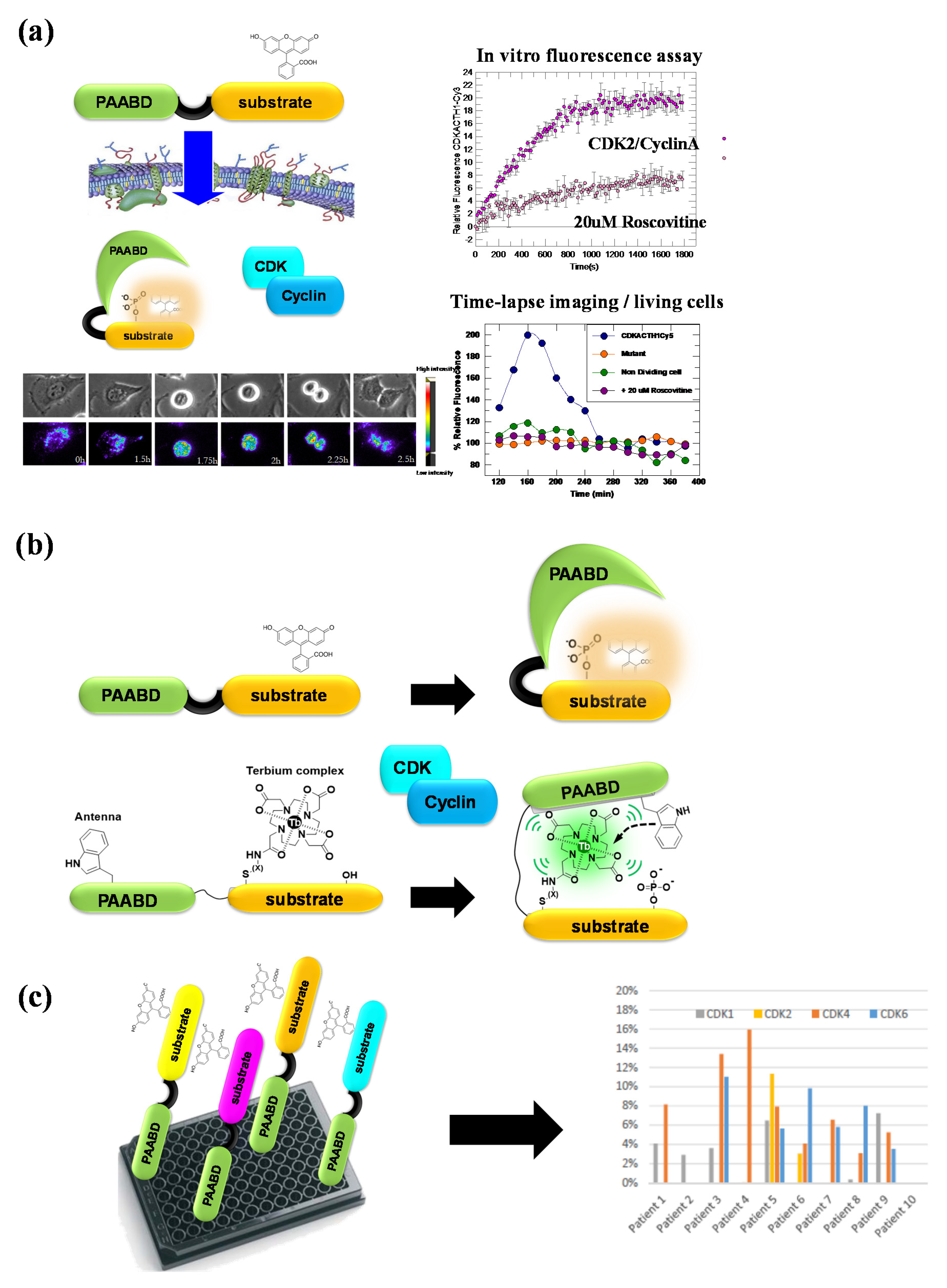 Life 12 00516 g007 Life 12 00516 g007