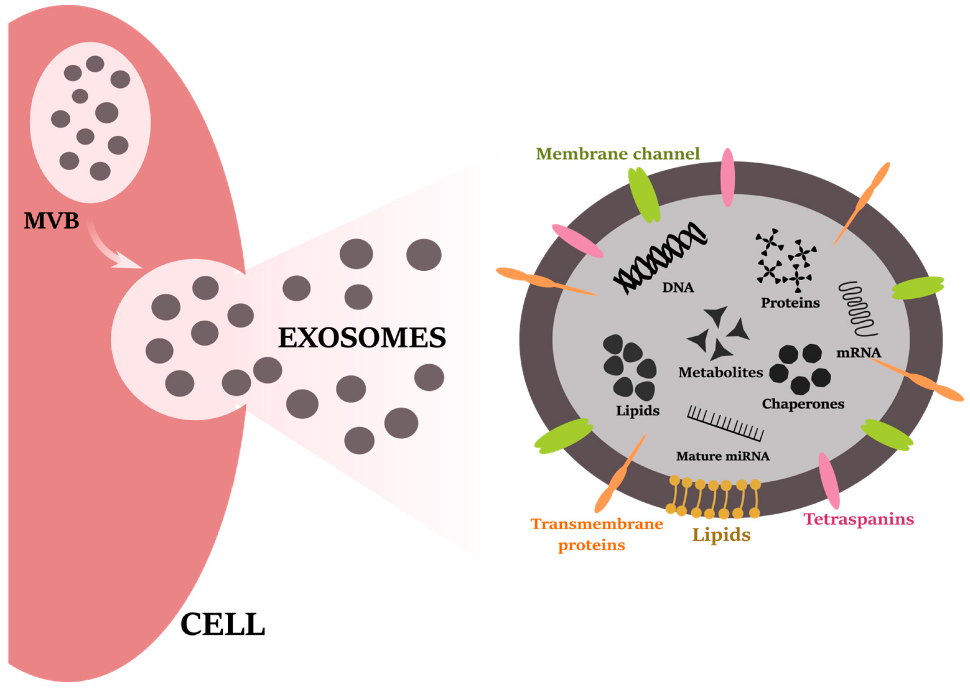 Life 12 00524 g002 Life 12 00524 g002
