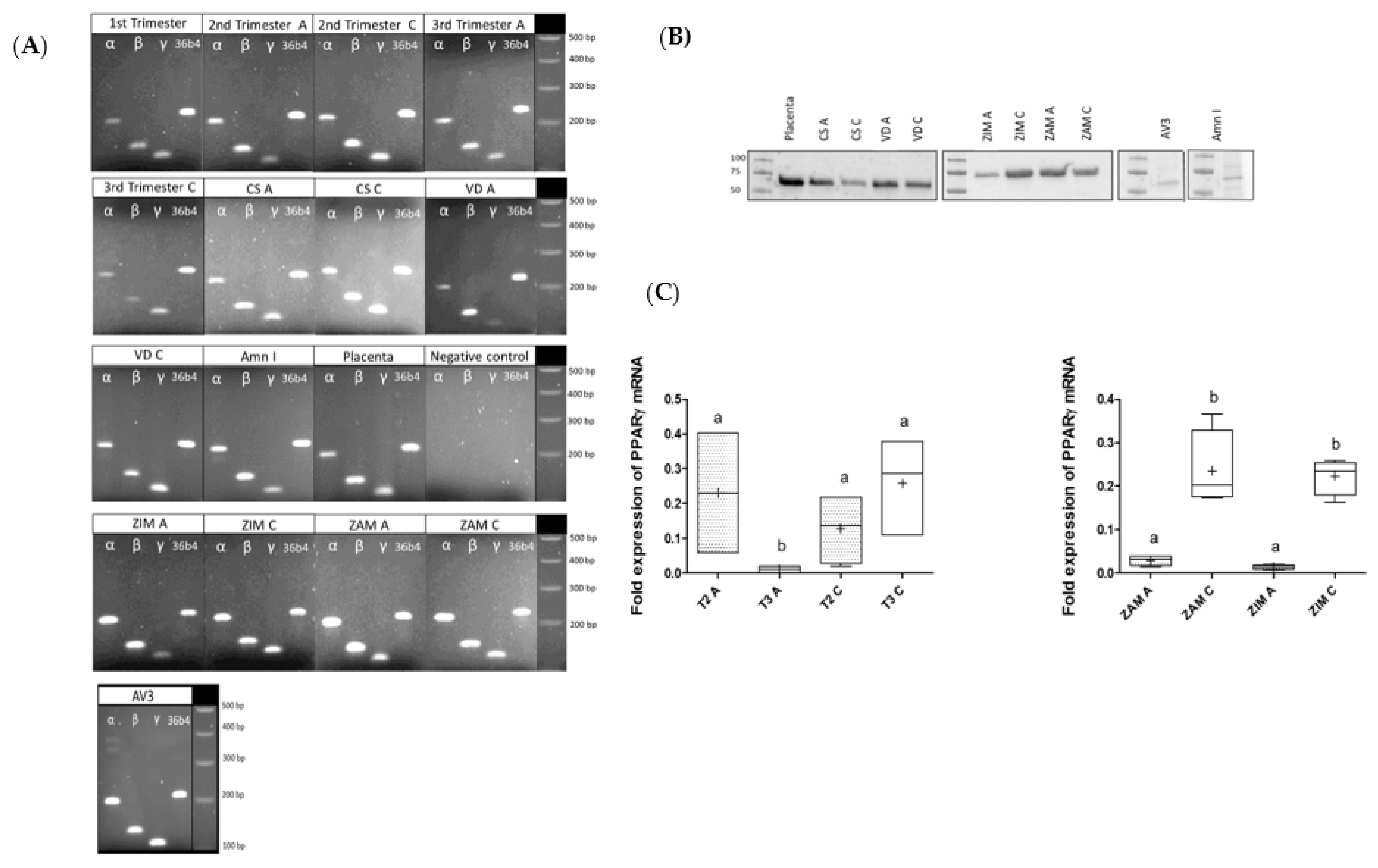 Life 12 00544 g001 550