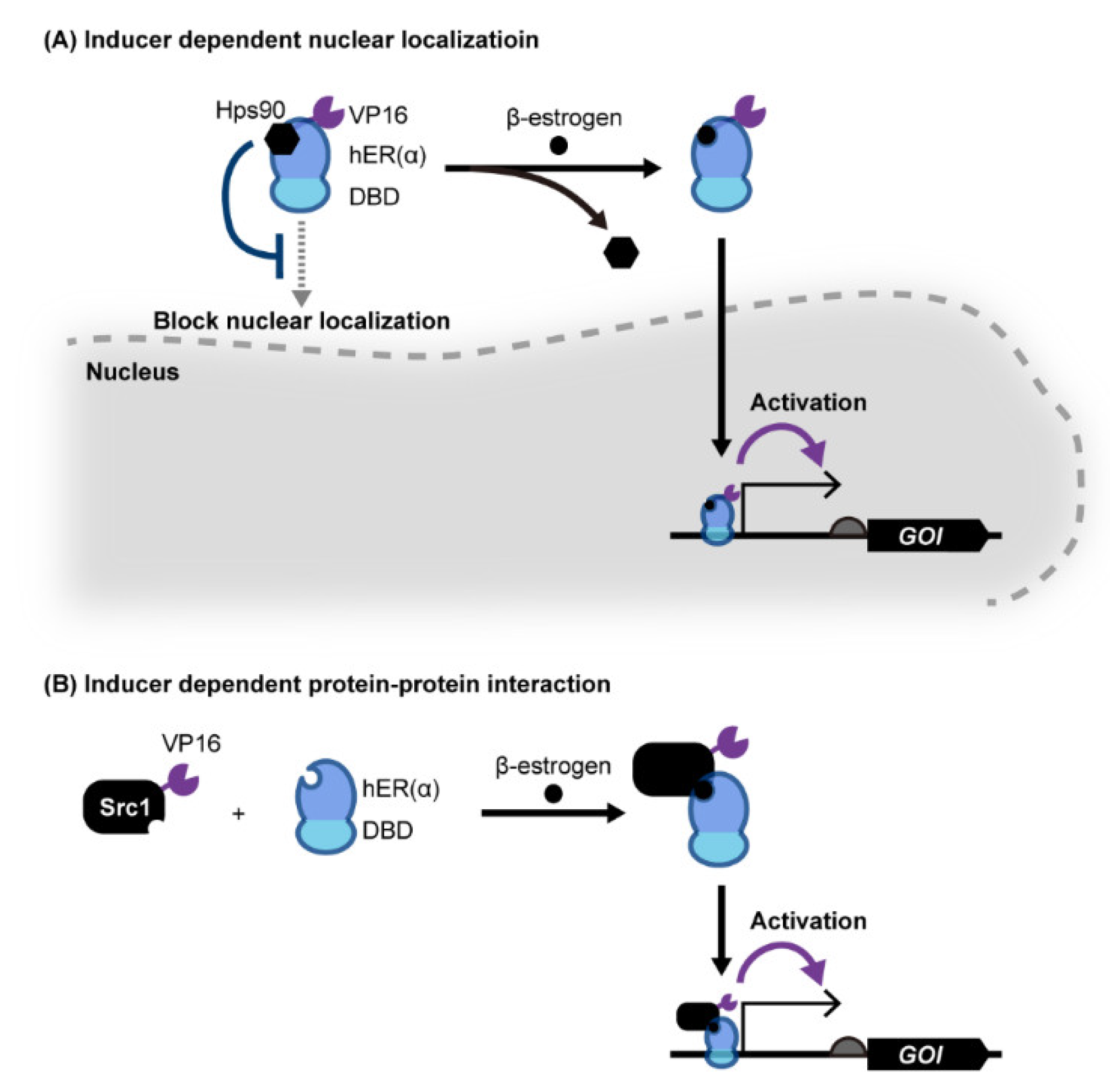 Life 12 00557 g002 Life 12 00557 g002