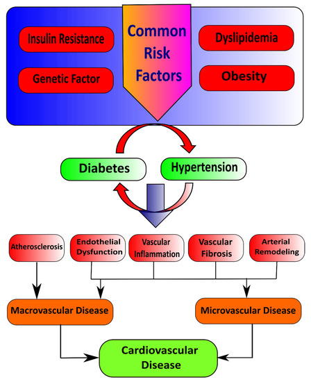 project 2.1 2 the insulin glucose connection