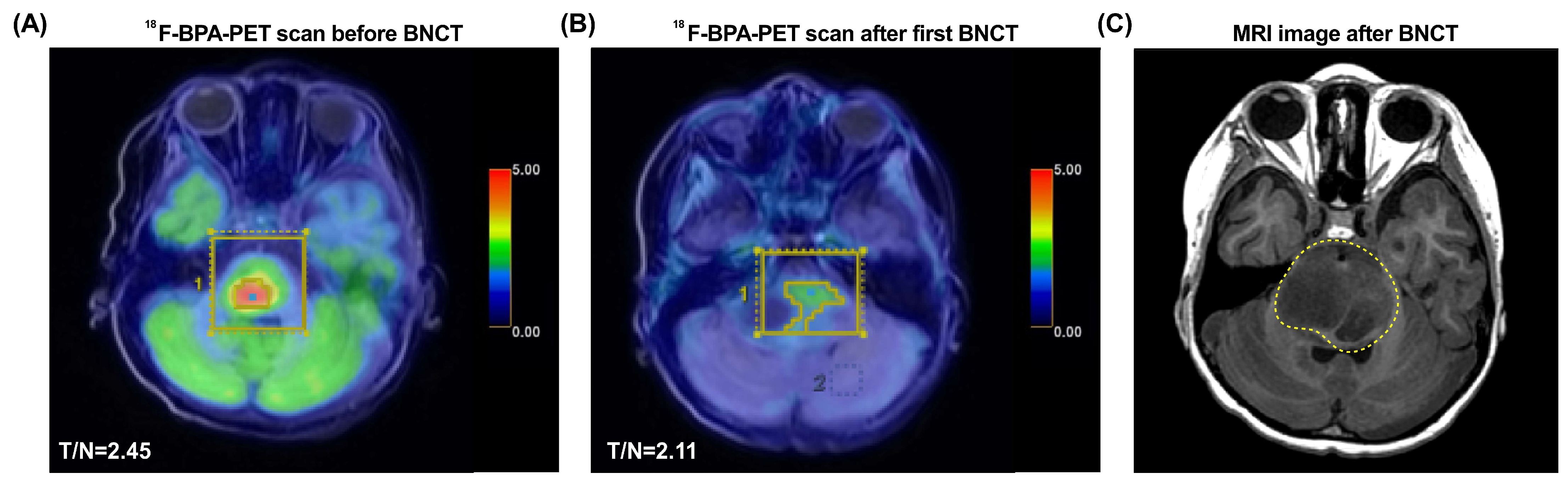 Life 12 00566 g001 Life 12 00566 g001