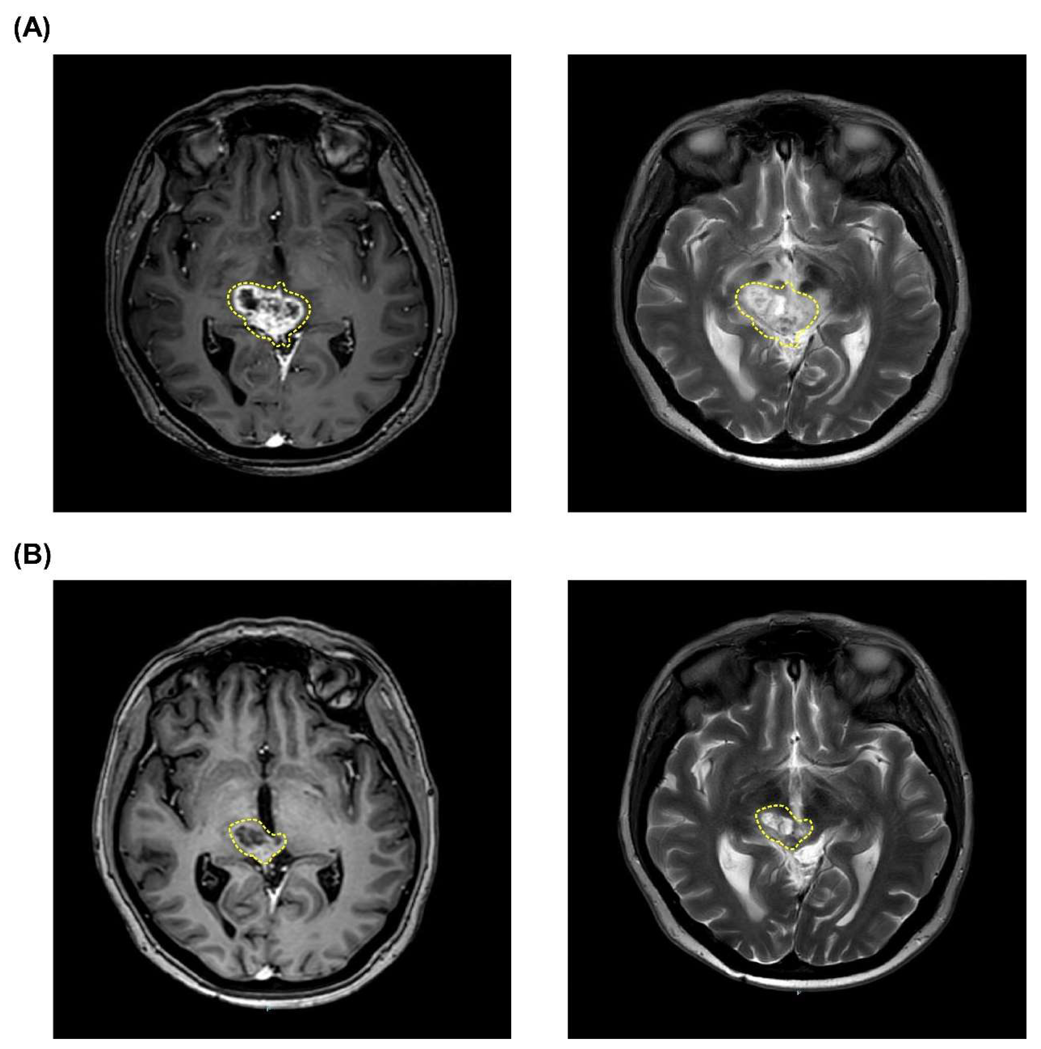 Life 12 00566 g002 Life 12 00566 g002