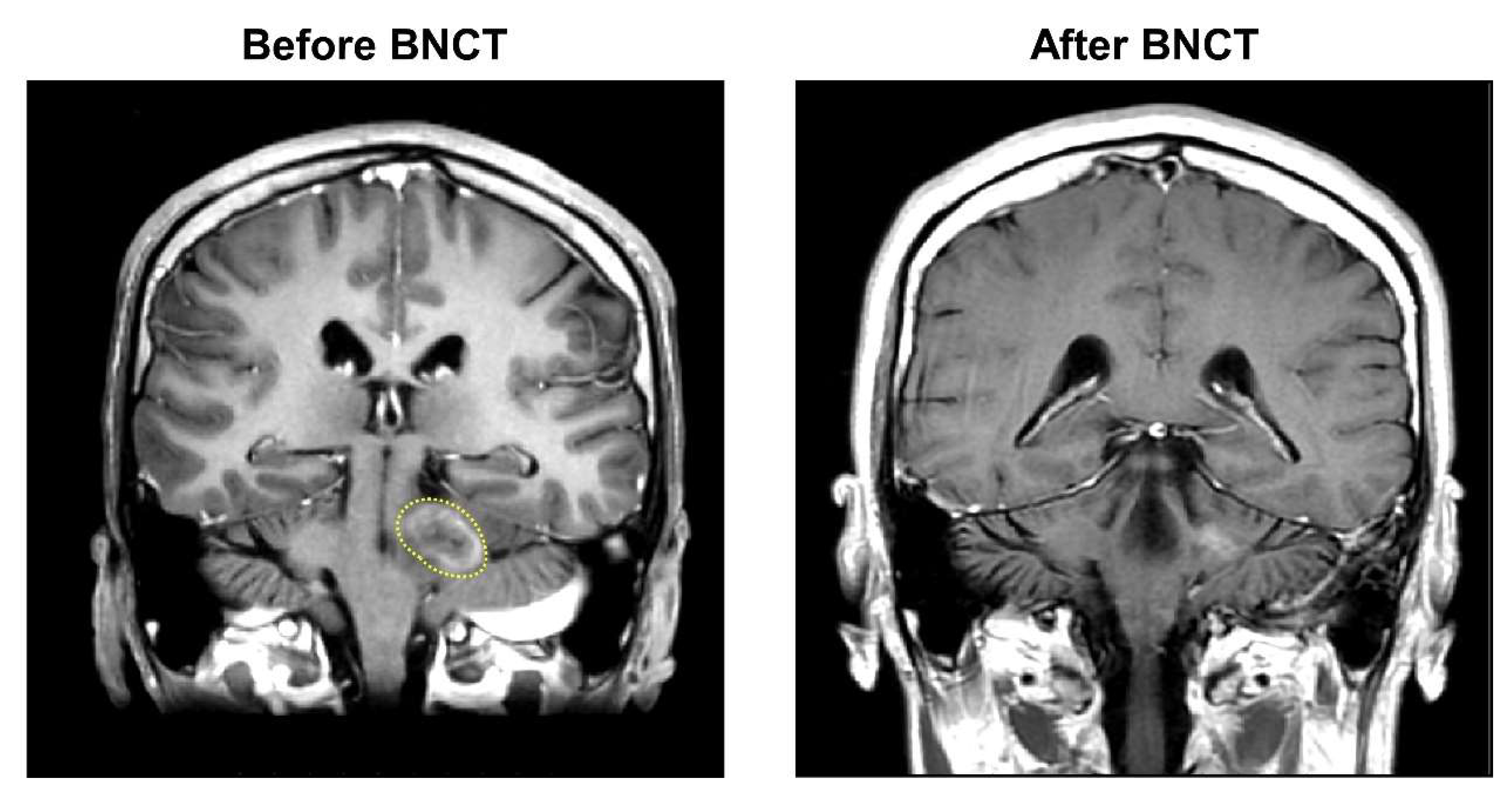 Life 12 00566 g003 Life 12 00566 g003