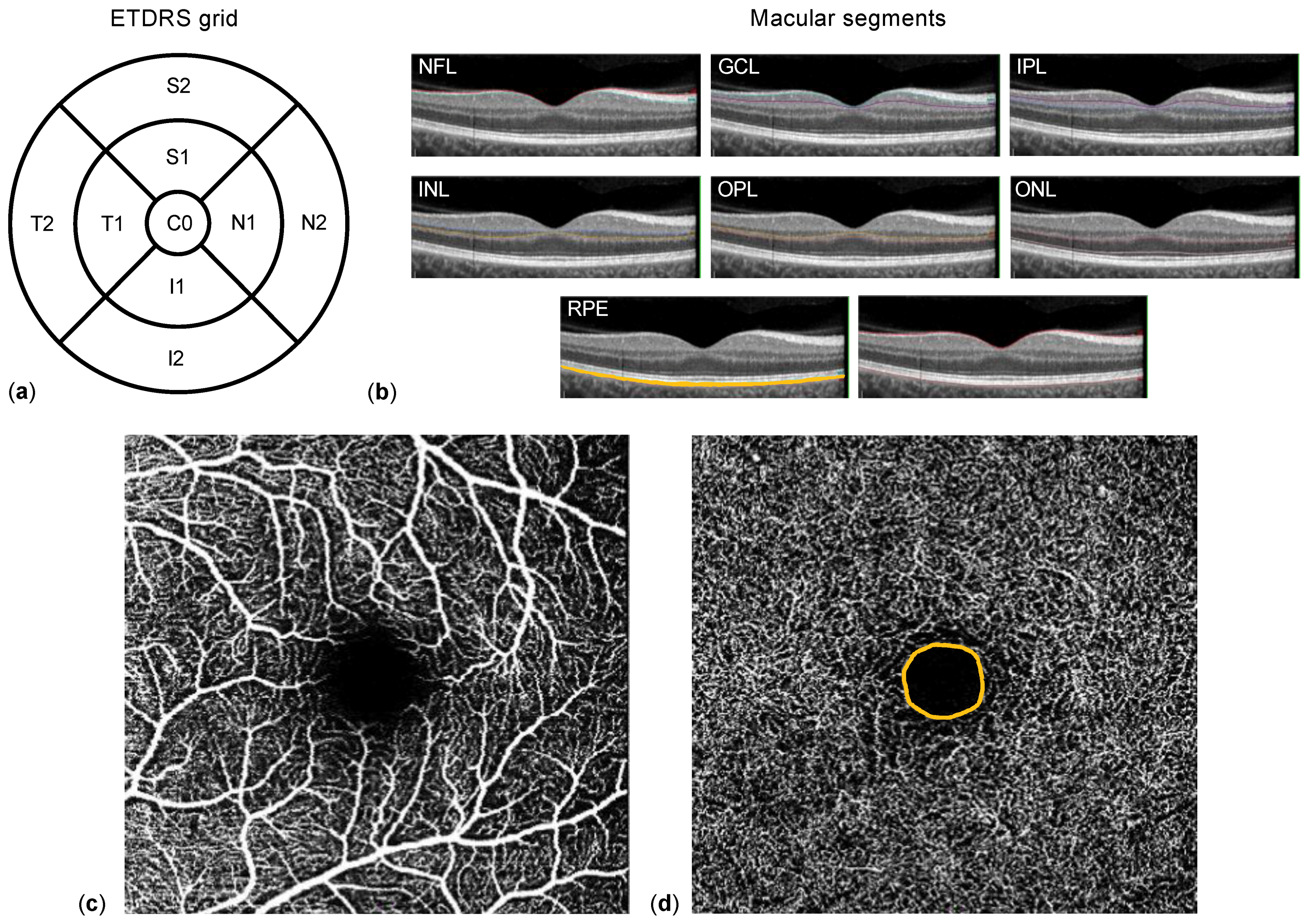Life 12 00568 g001 Life 12 00568 g001