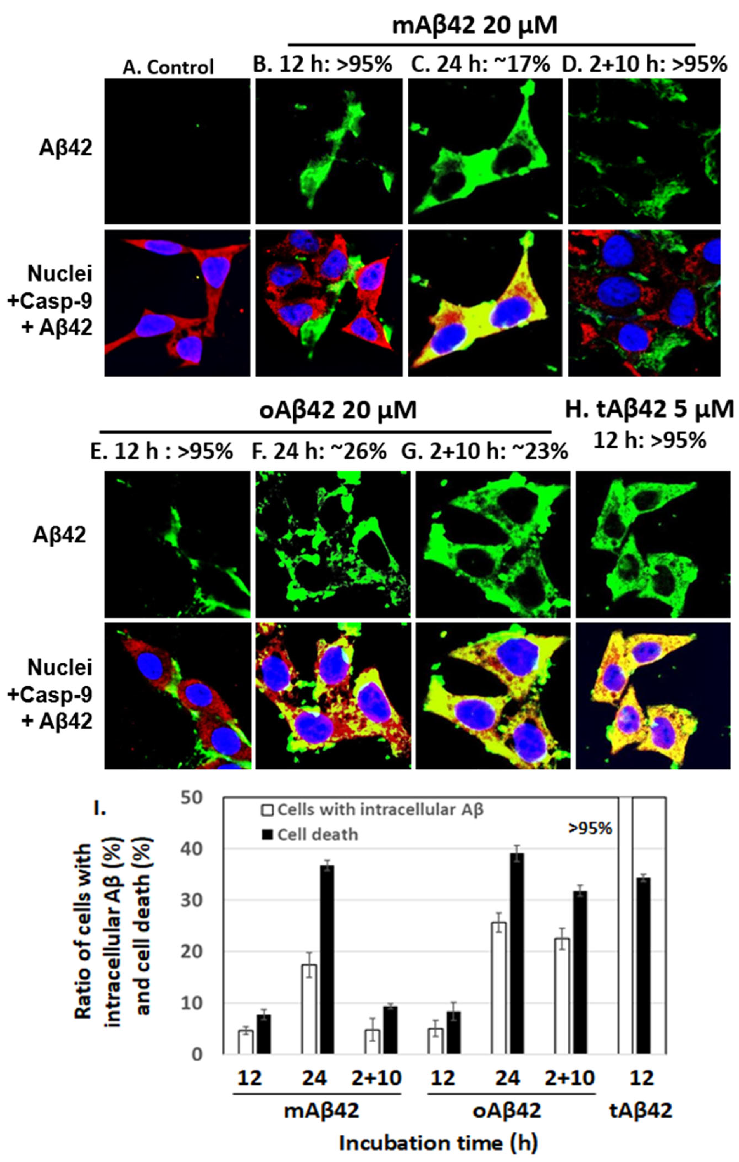 Life 12 00577 g002 Life 12 00577 g002