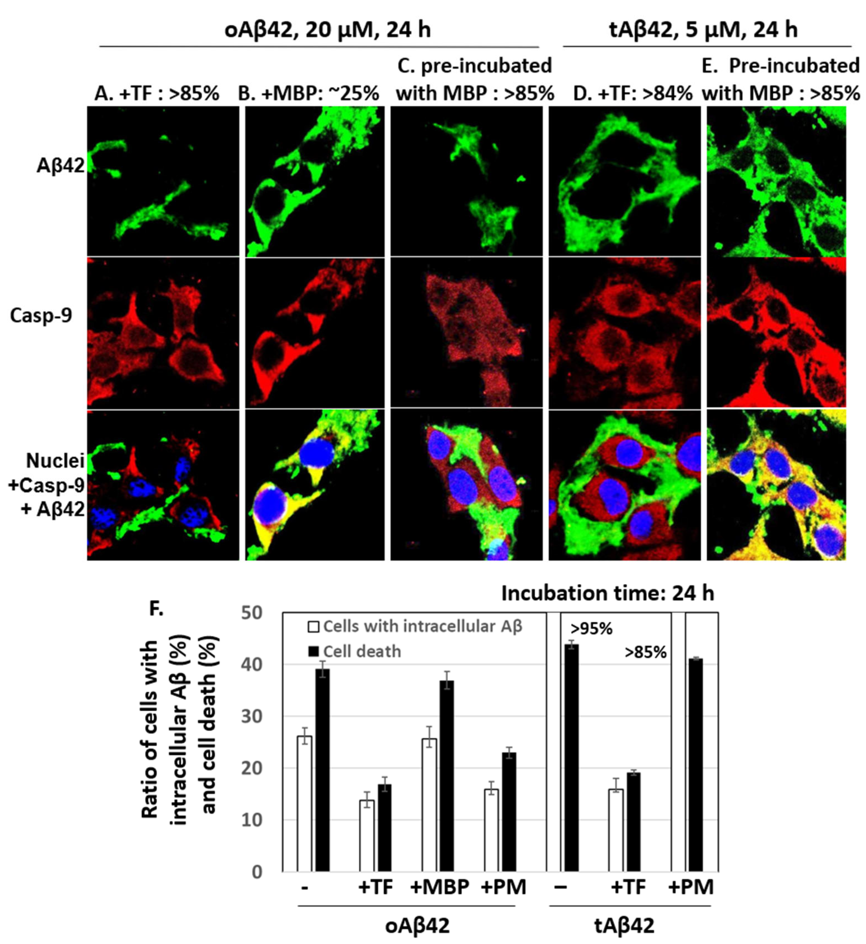 Life 12 00577 g004 Life 12 00577 g004