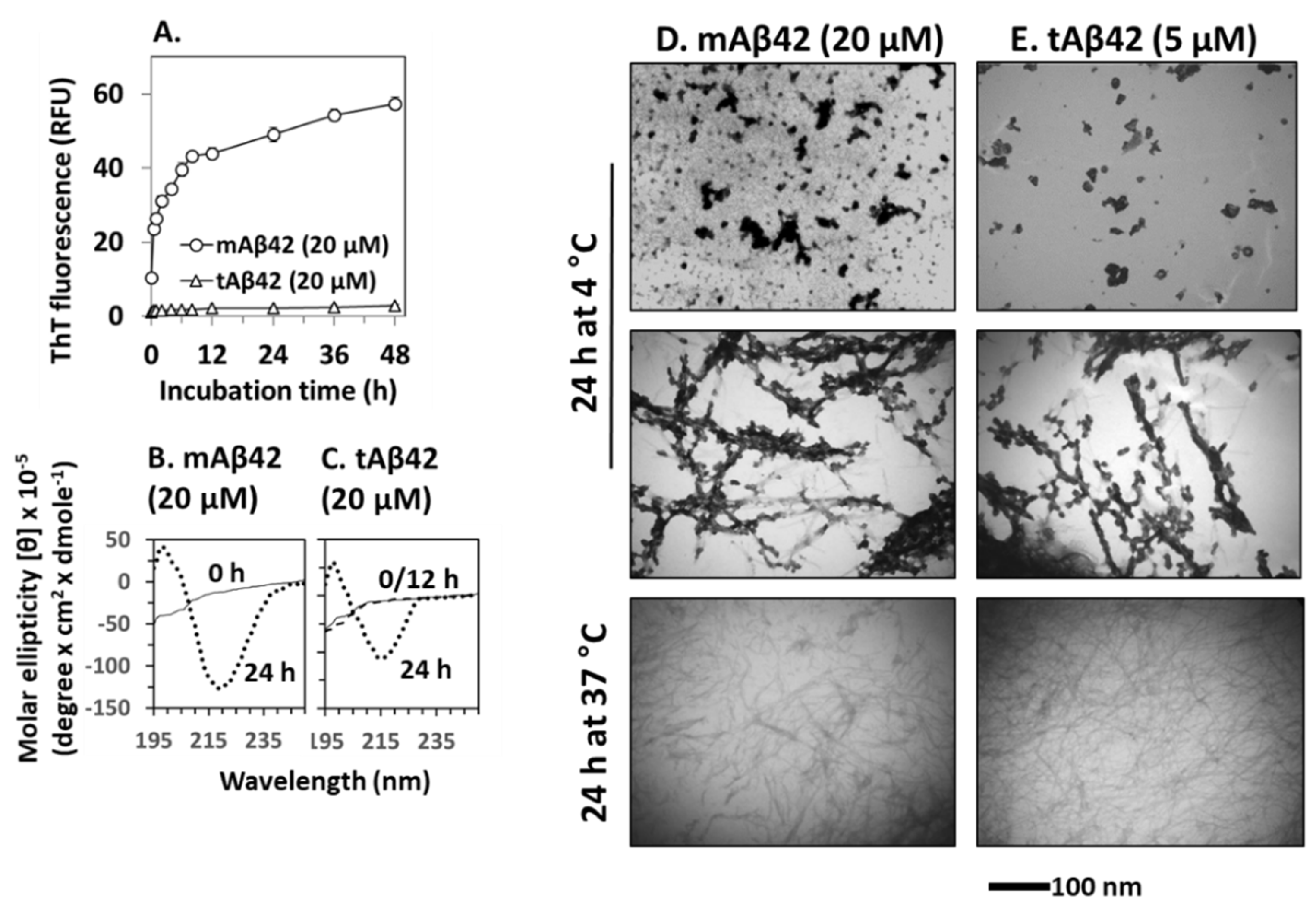 Life 12 00577 g006 Life 12 00577 g006