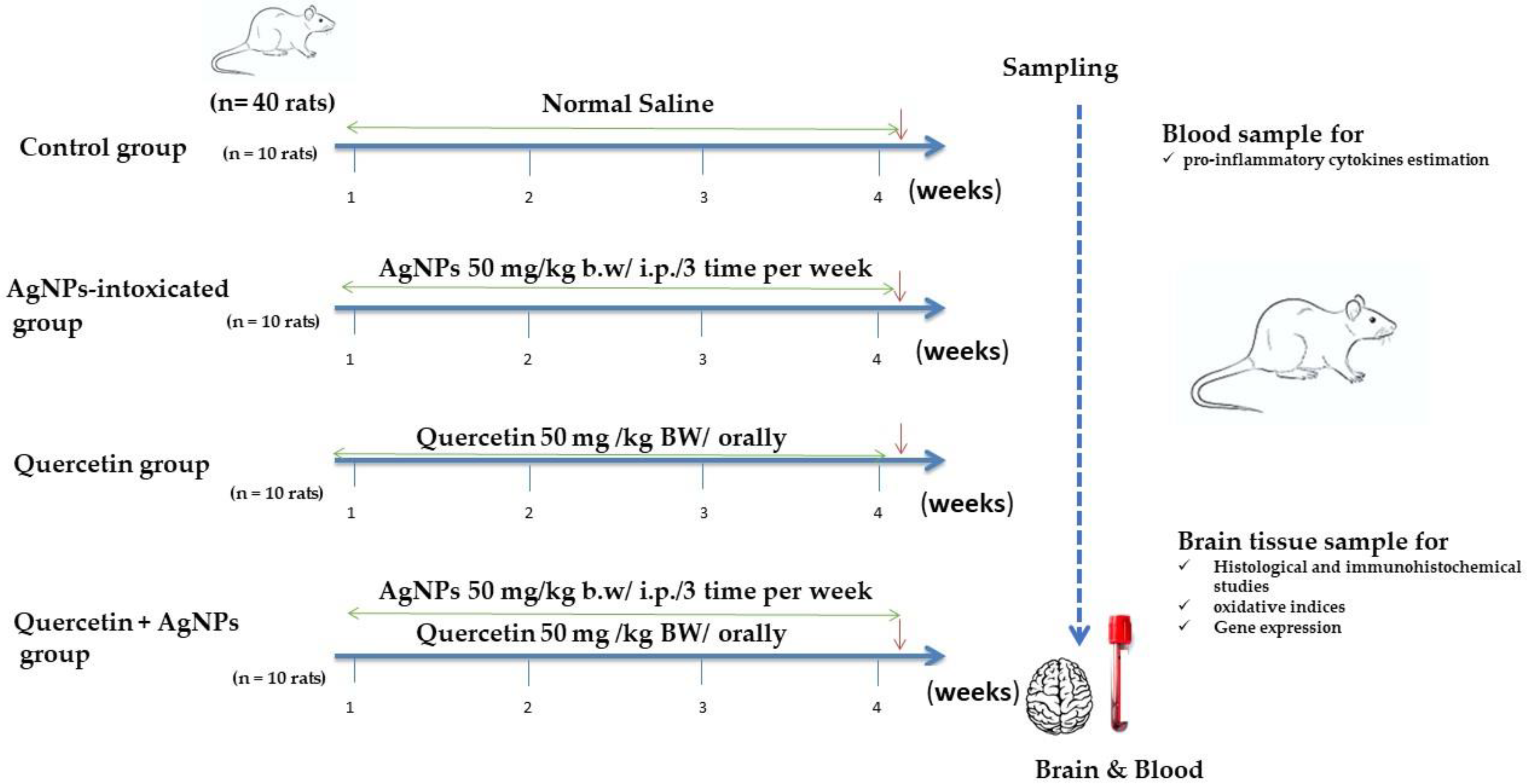 Life 12 00578 g001 550