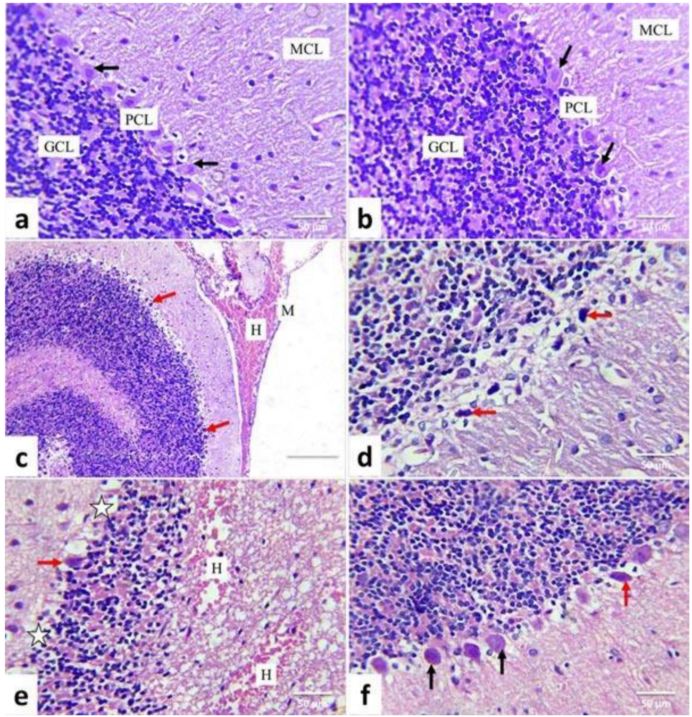 Life 12 00578 g006 550