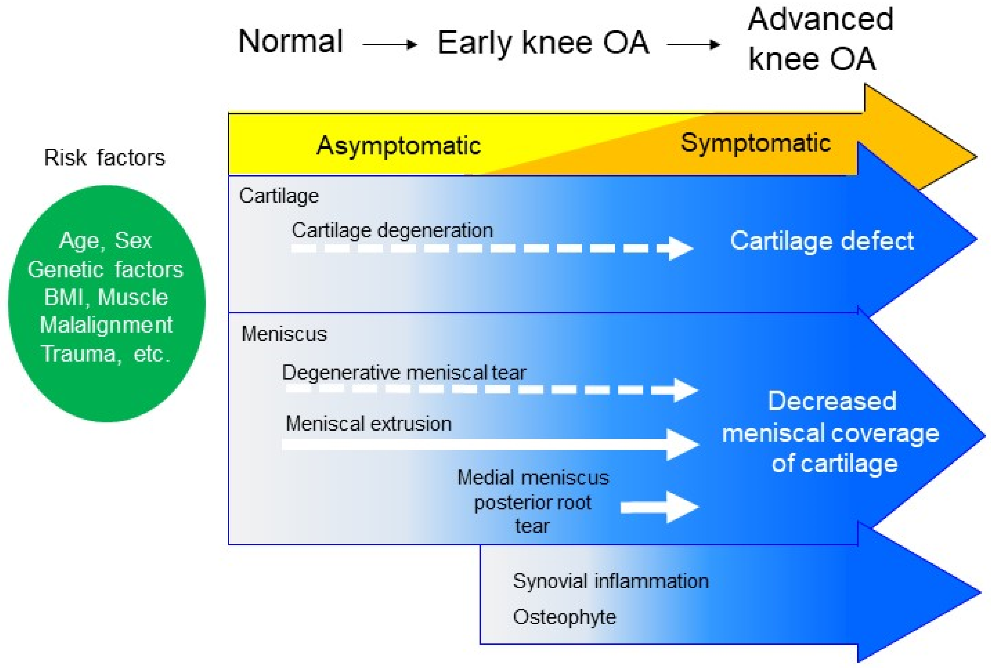 Life 12 00603 g001 Life 12 00603 g001