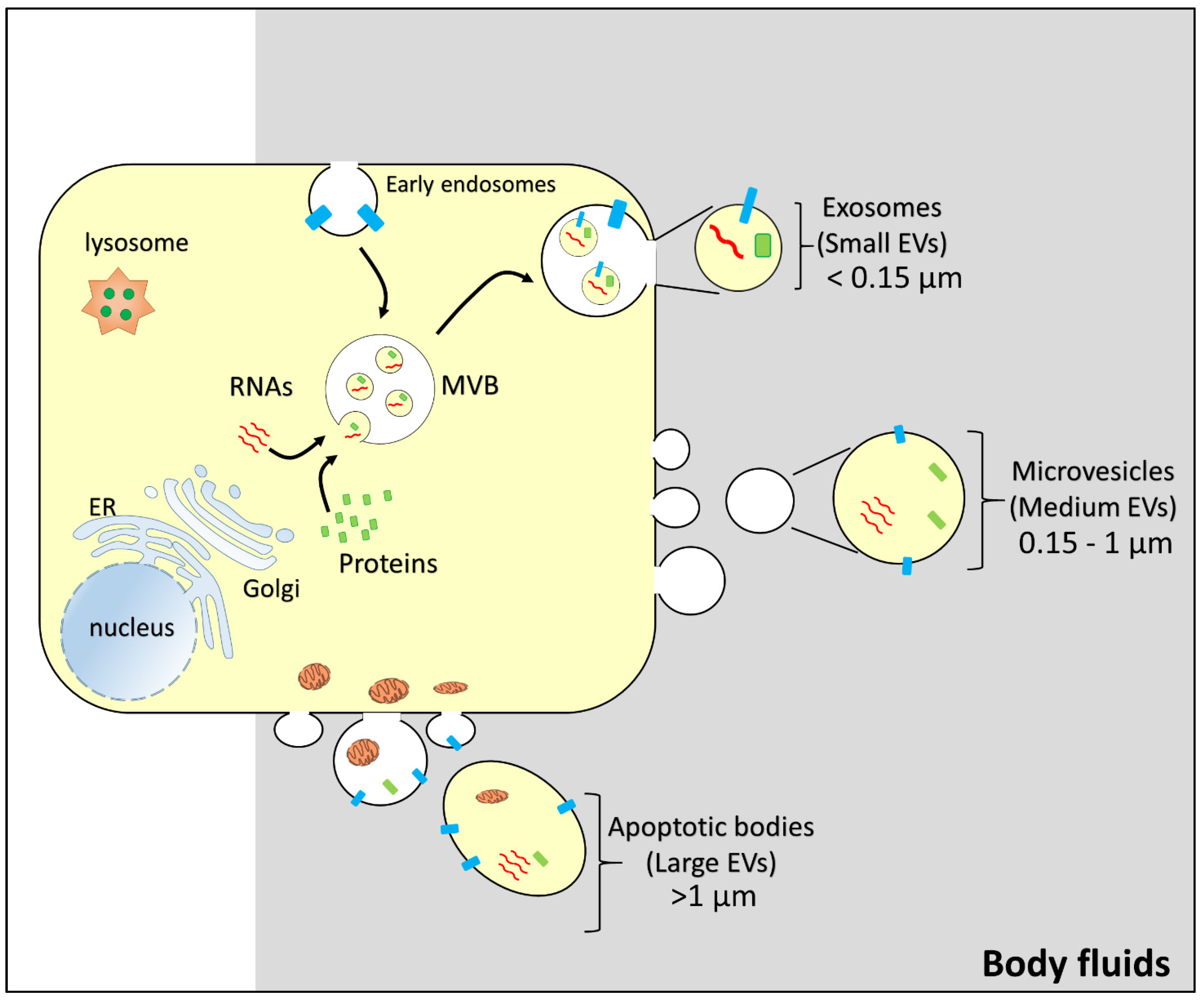 Life 12 00618 g001 550