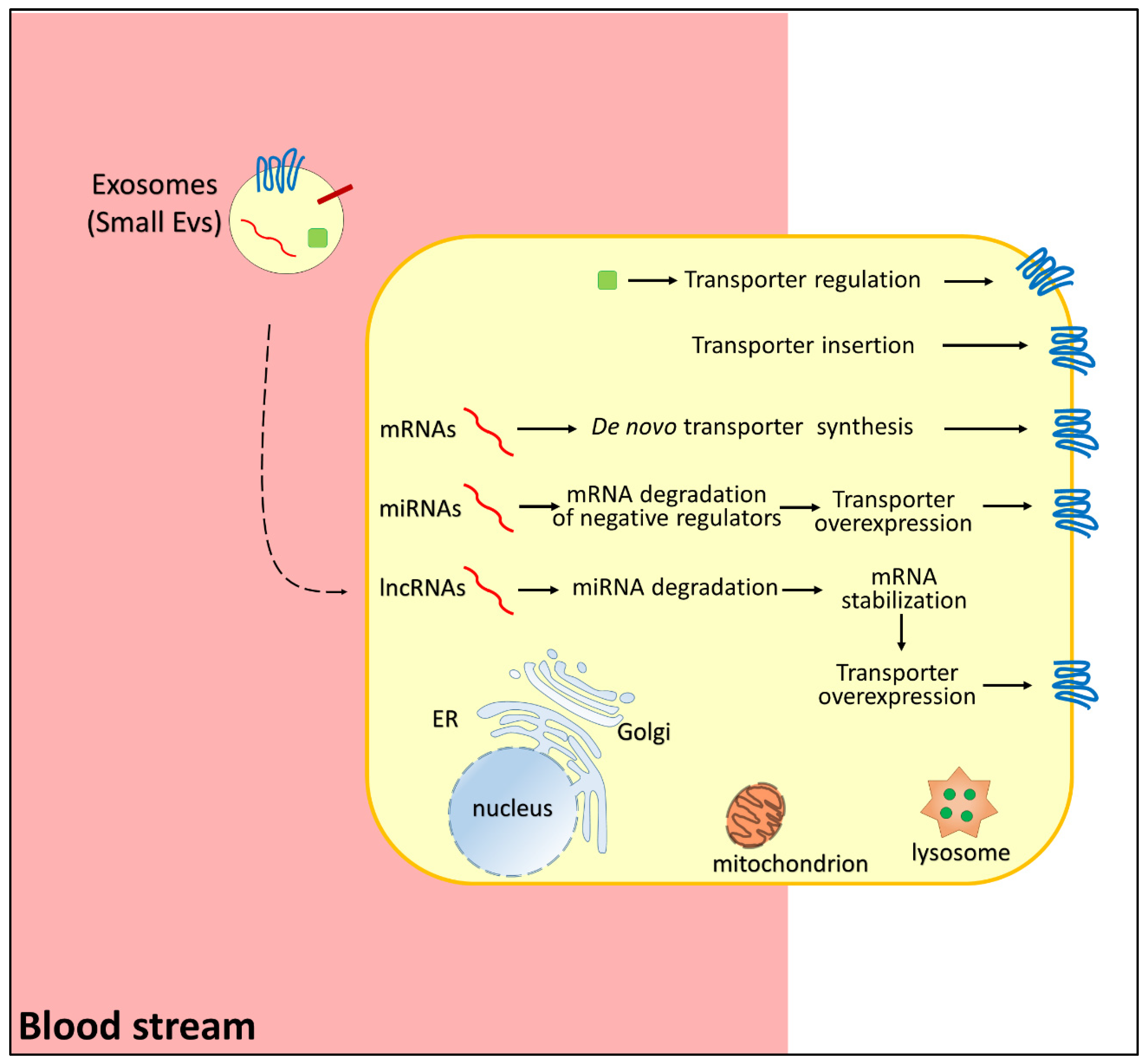 Life 12 00618 g002 550