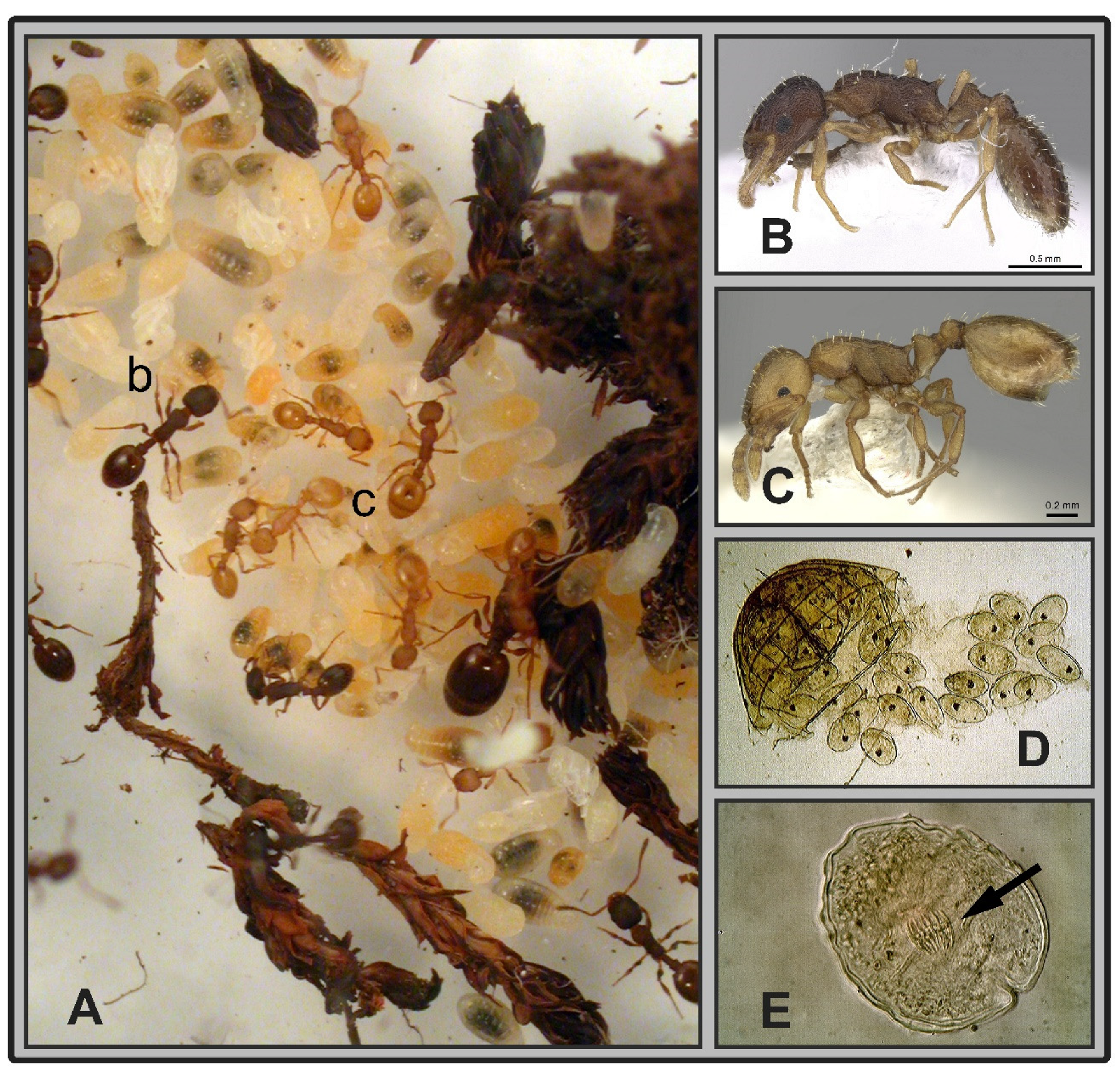 Life 12 00625 g001 550