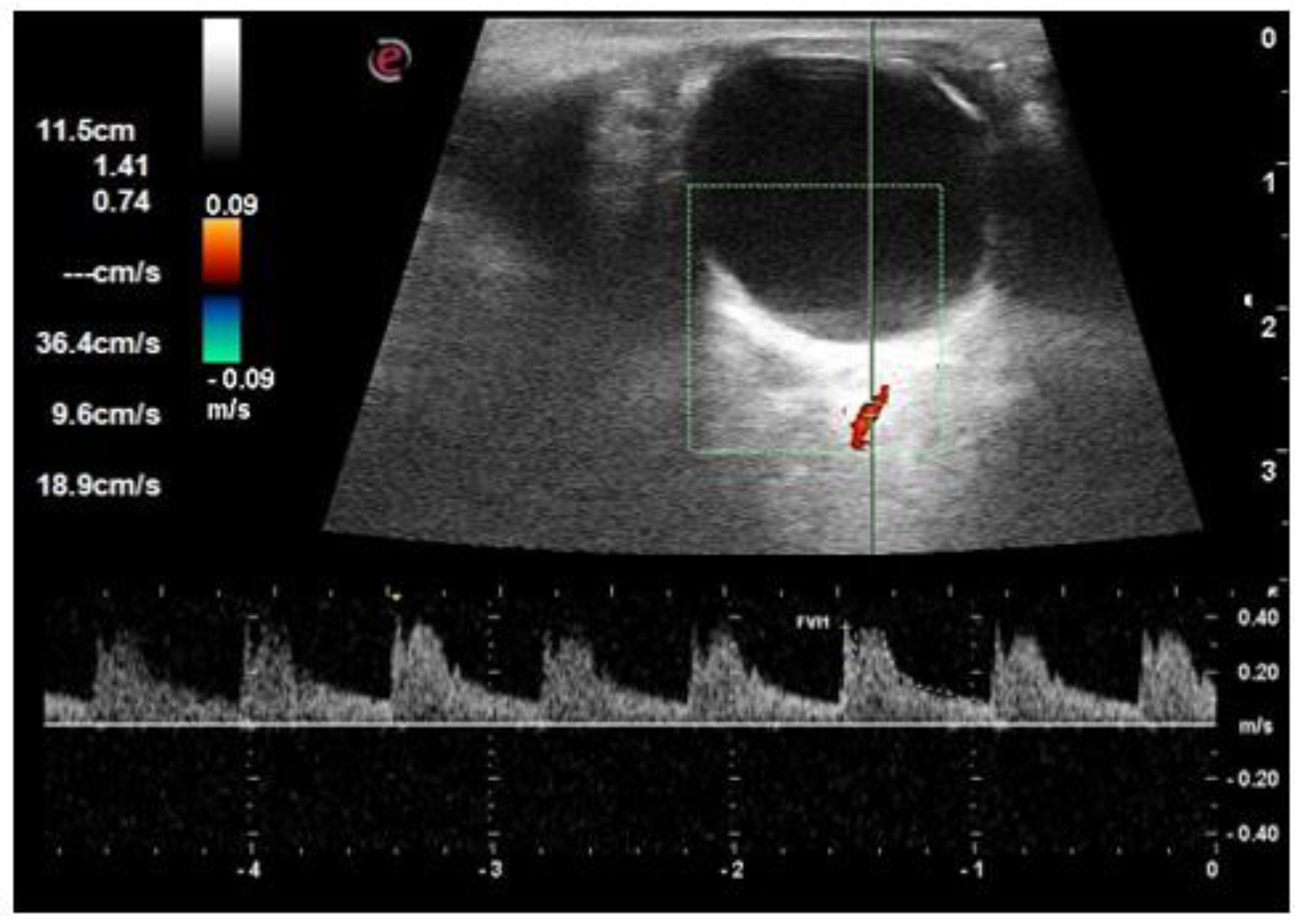 Life 12 00629 g002 Life 12 00629 g002