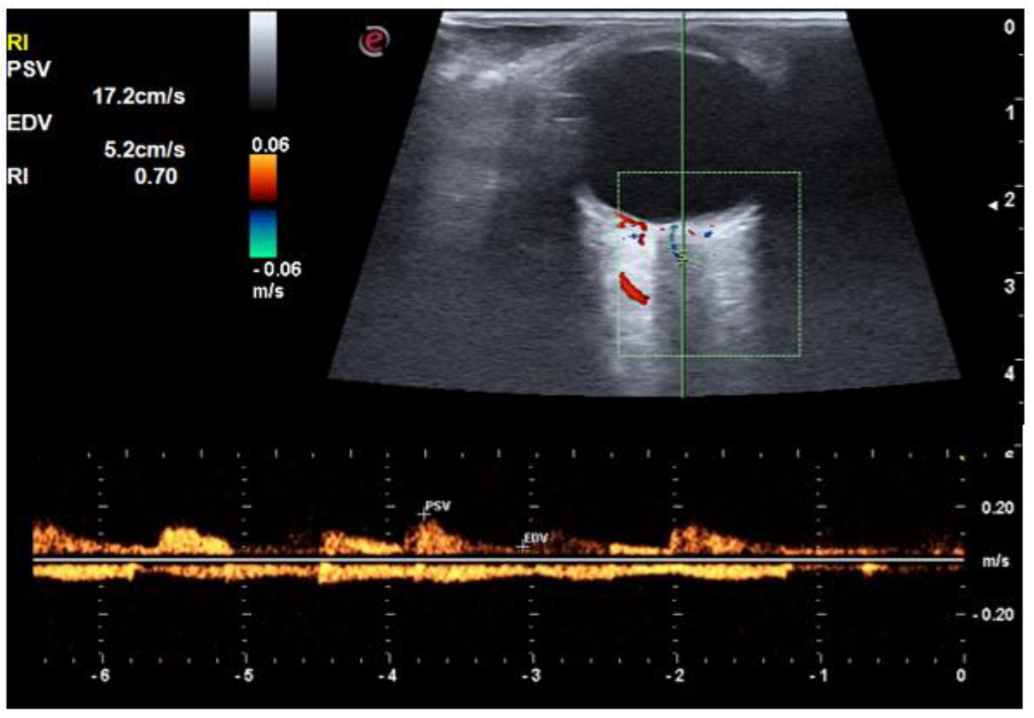 Life 12 00629 g005 Life 12 00629 g005
