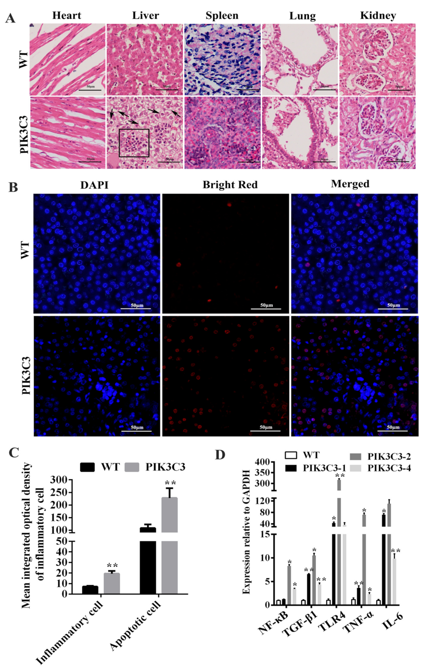 Life 12 00630 g003 Life 12 00630 g003