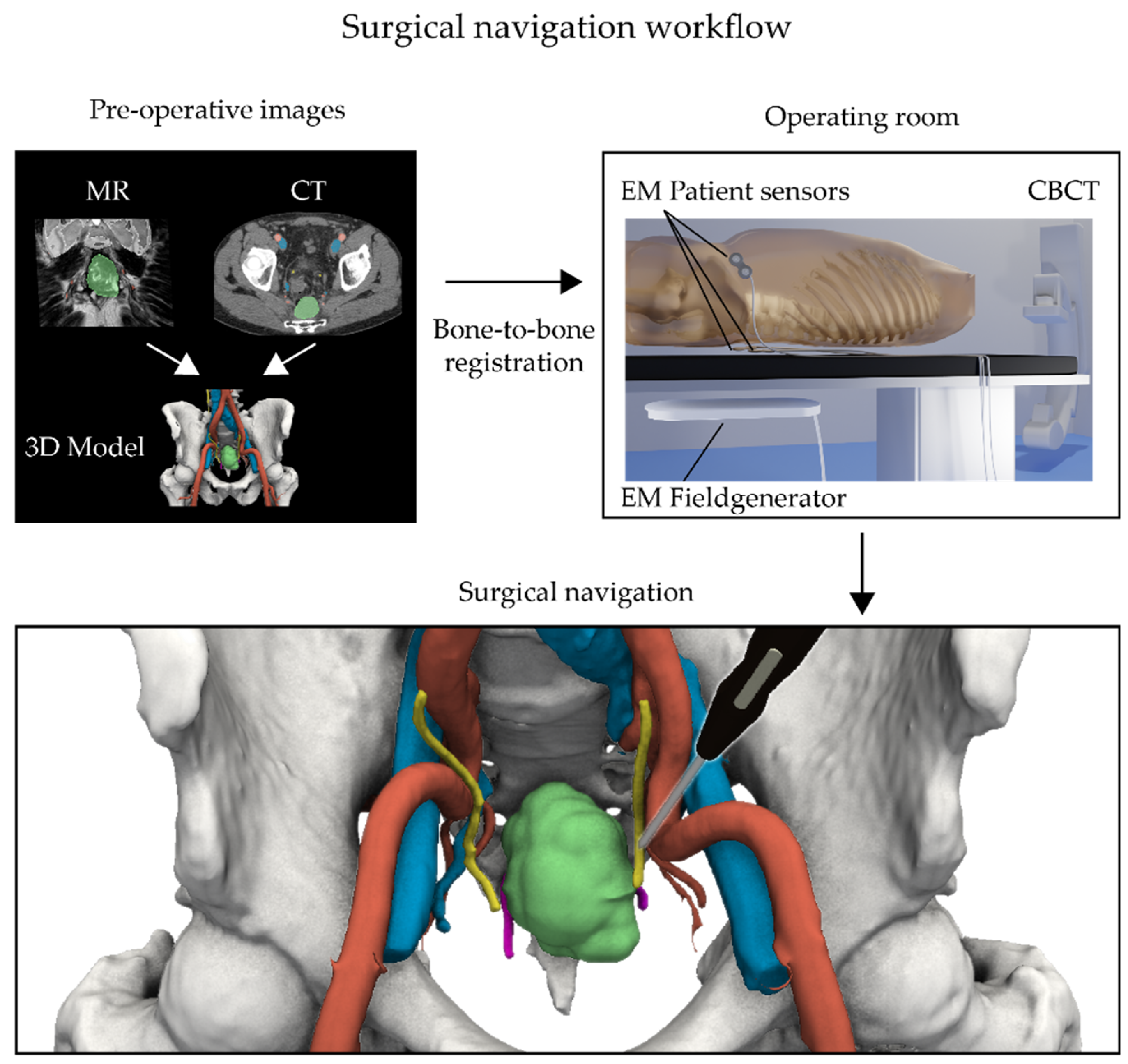Life 12 00645 g001 550