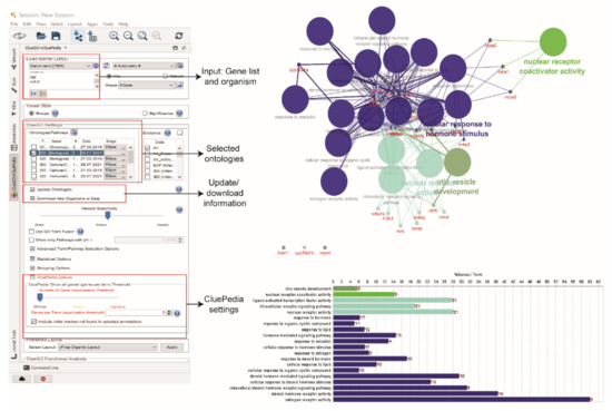 Protein–Protein Interaction (PPI) Network of Zebrafish