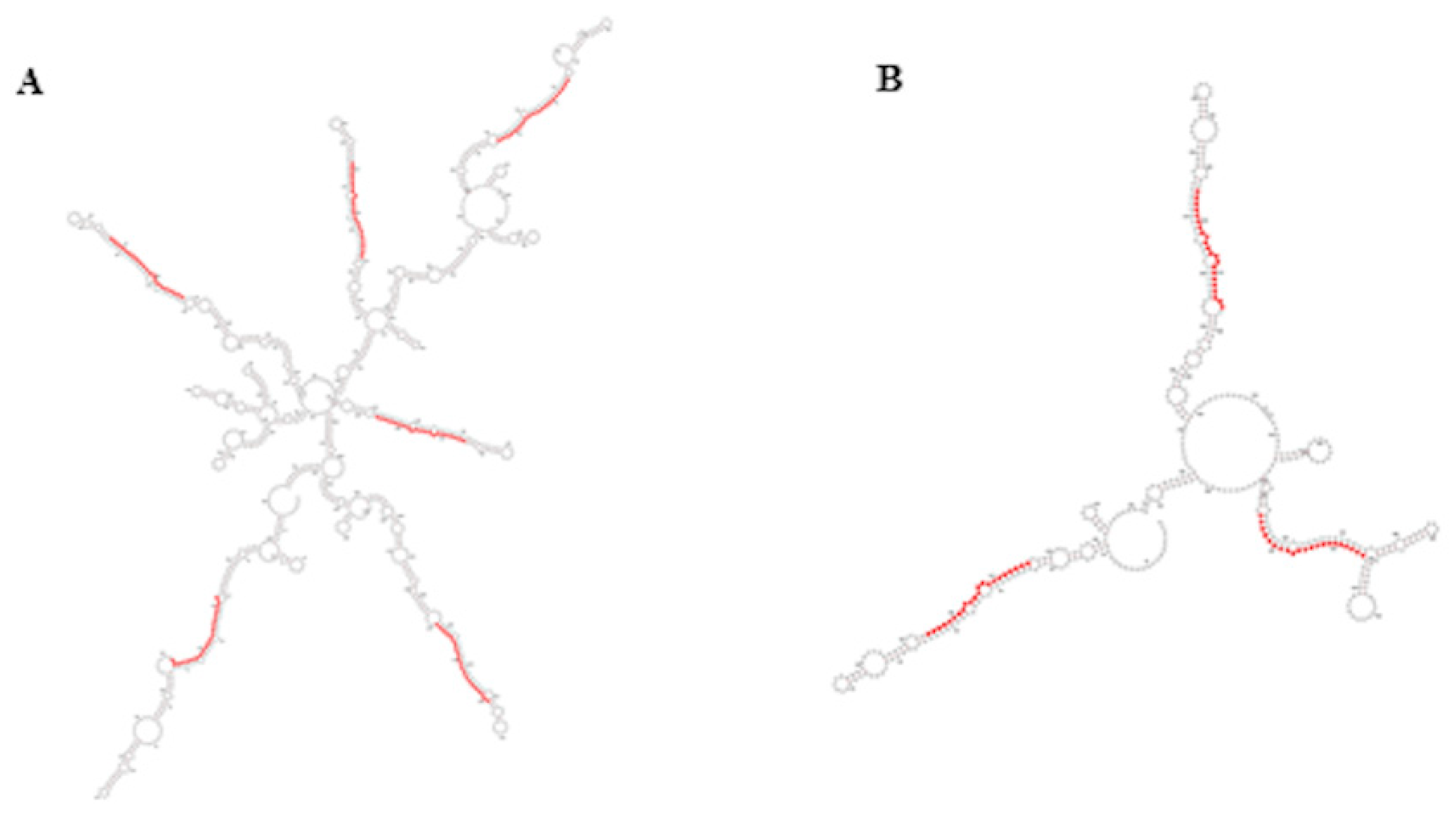 Life 12 00651 g005 Life 12 00651 g005