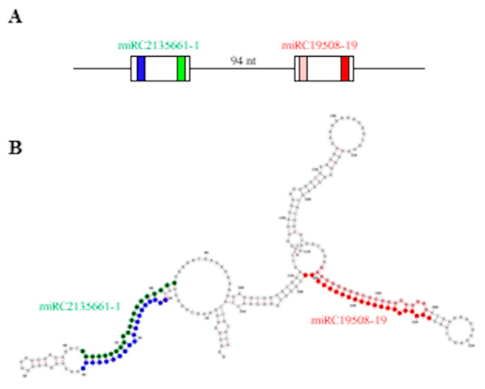 Life 12 00651 g006 Life 12 00651 g006