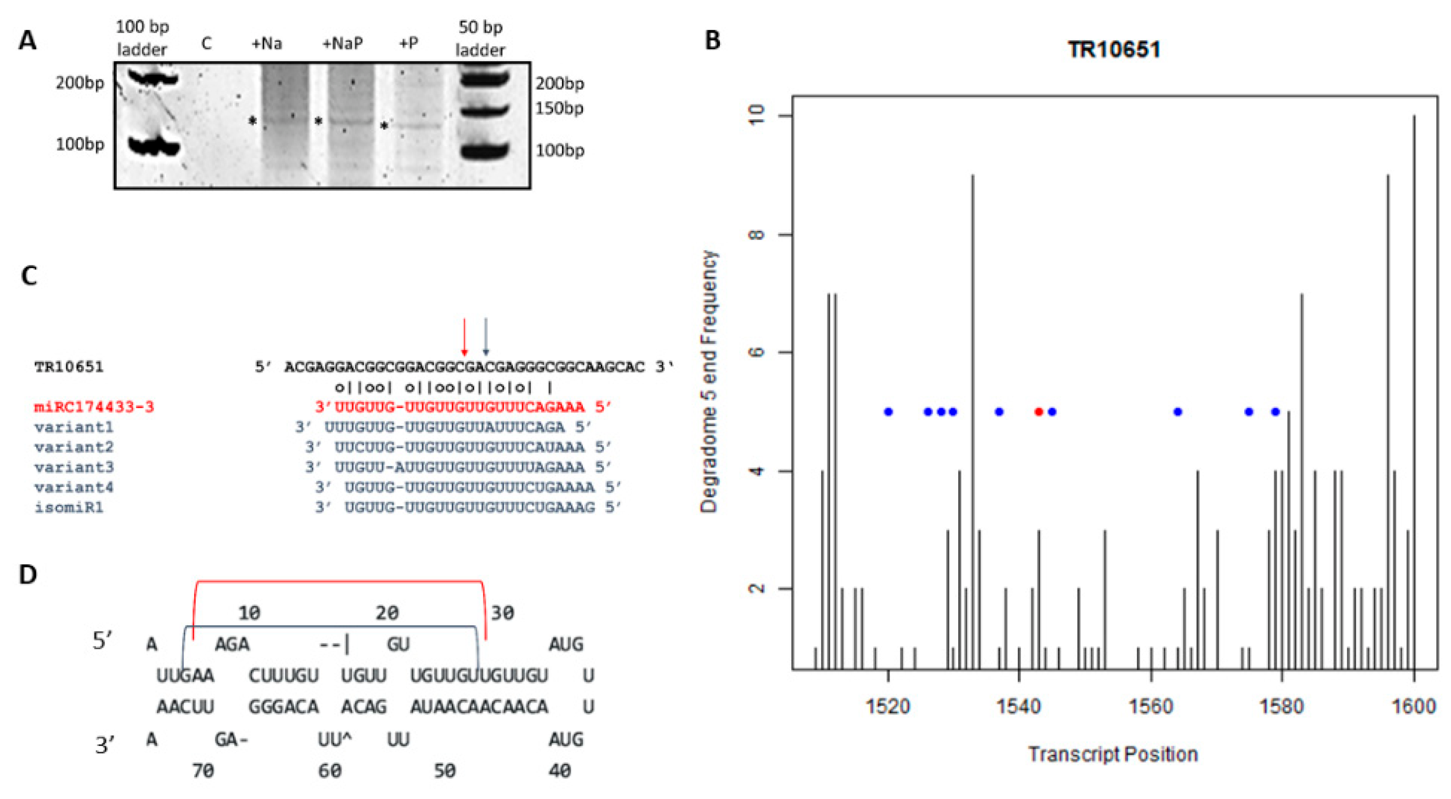 Life 12 00651 g007 Life 12 00651 g007
