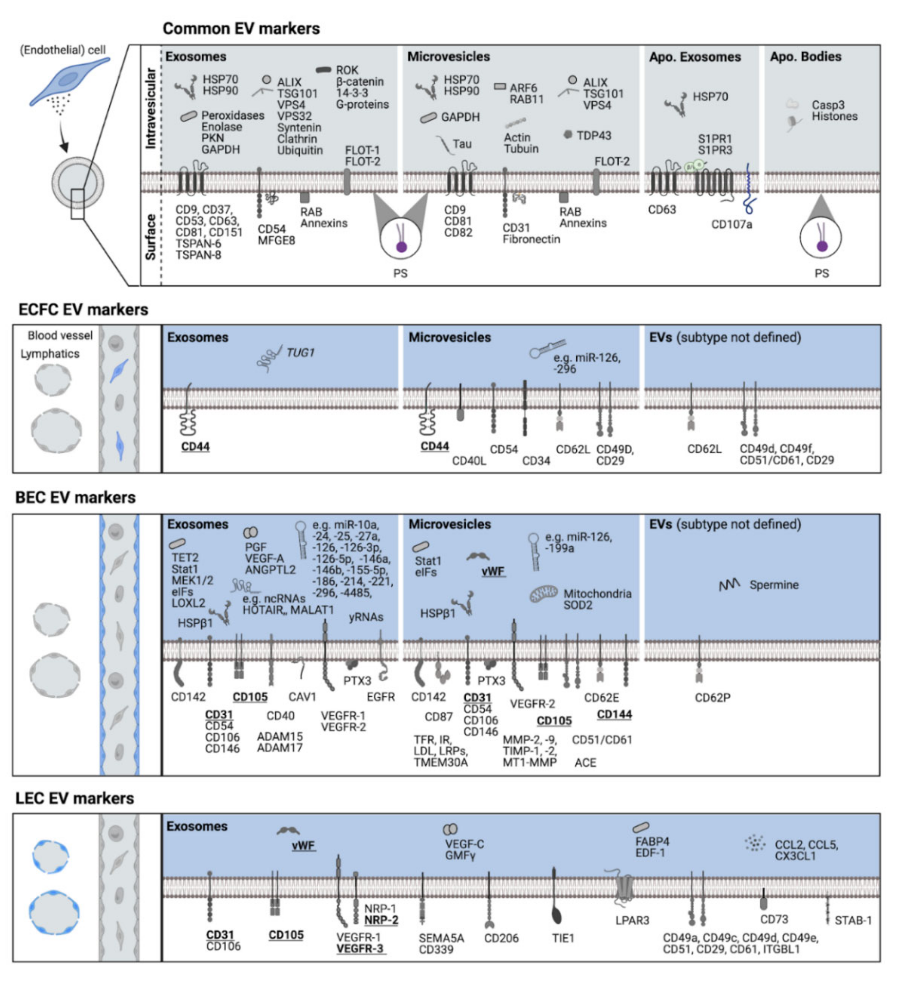 Life 12 00654 g001 550