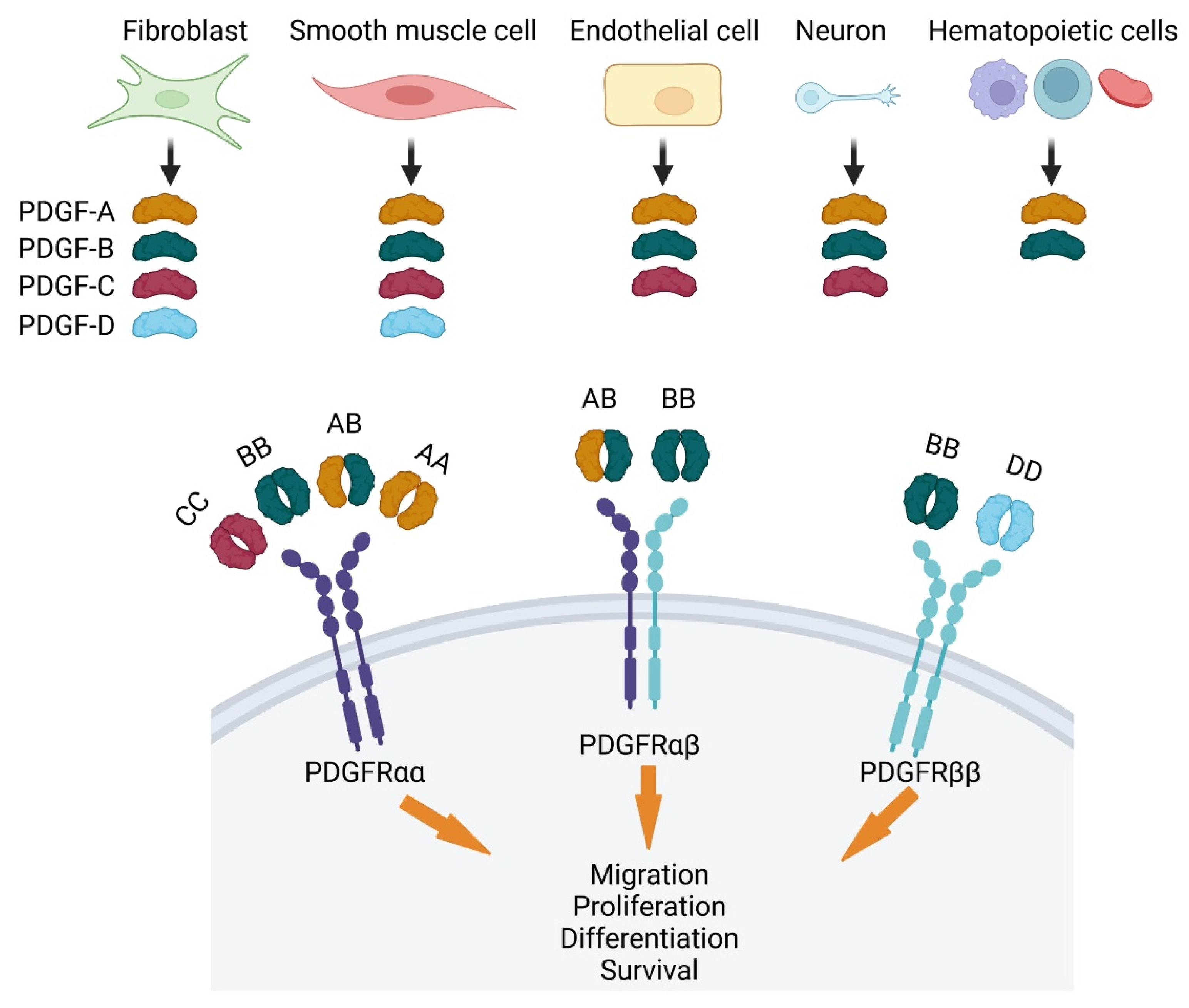 Life 12 00658 g002 550