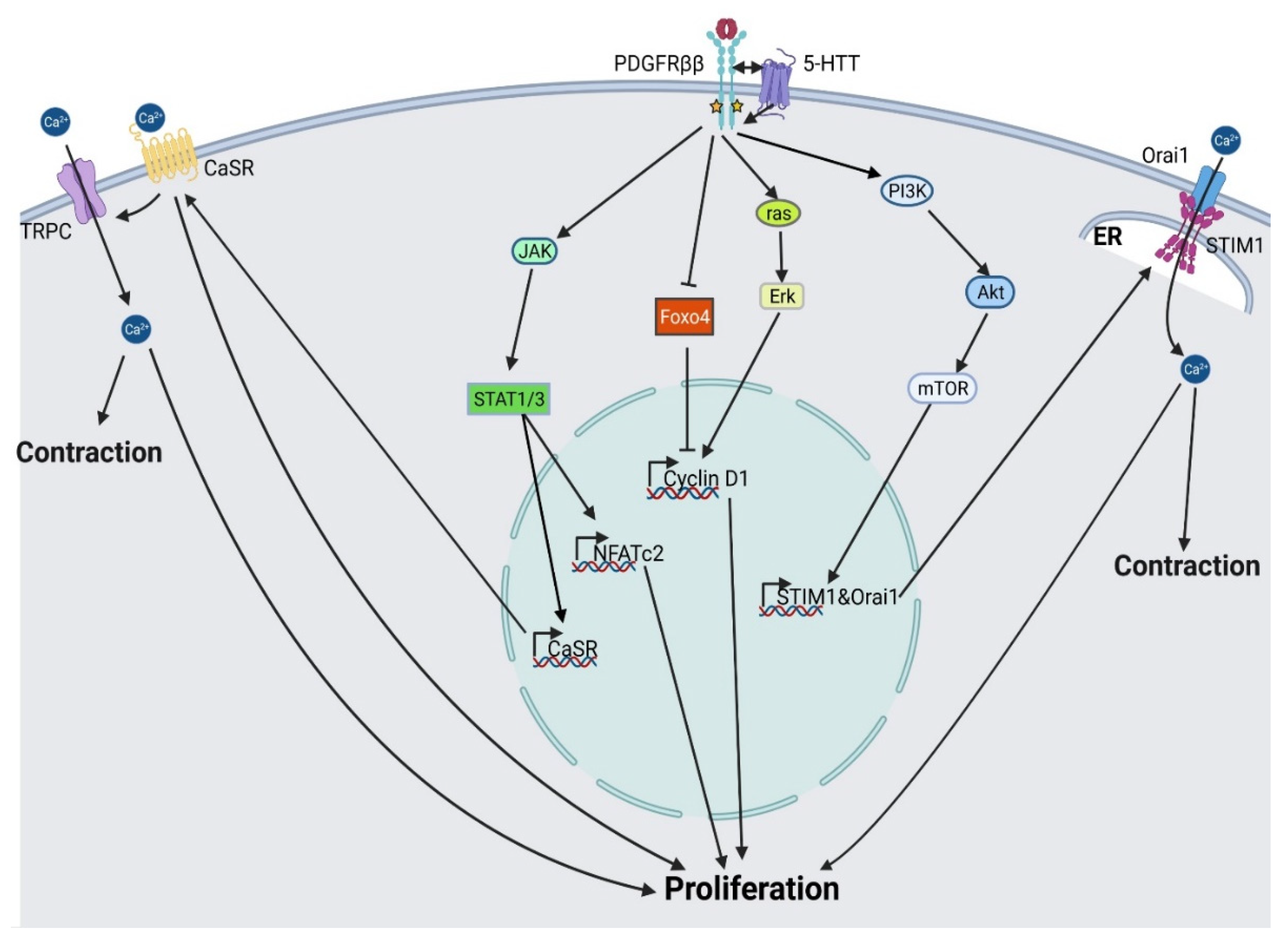 Life 12 00658 g004 550