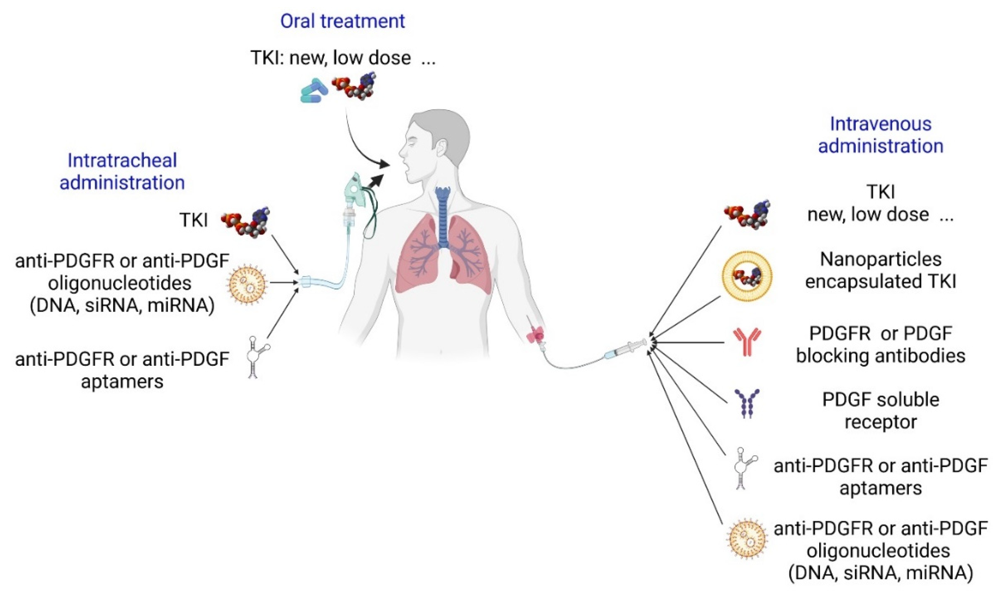 Life 12 00658 g005 550