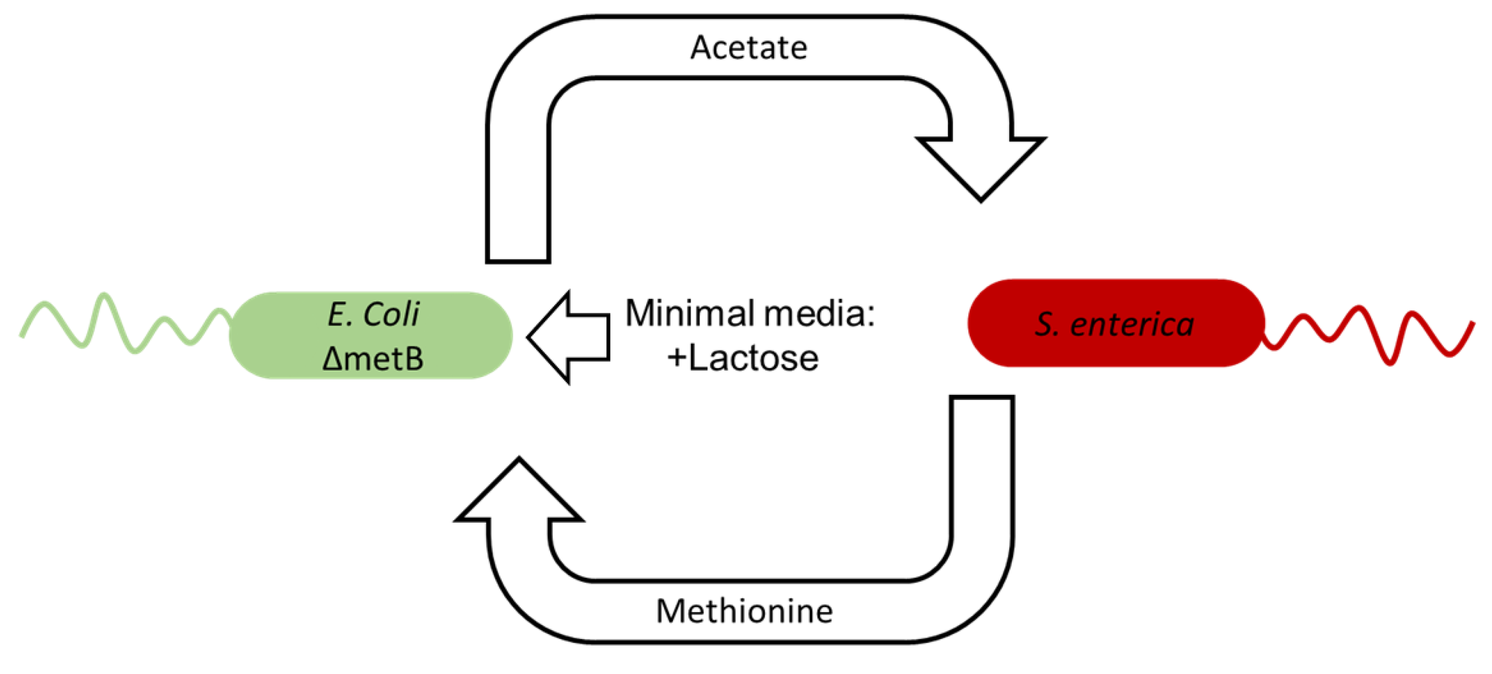 Life 12 00660 g002 Life 12 00660 g002