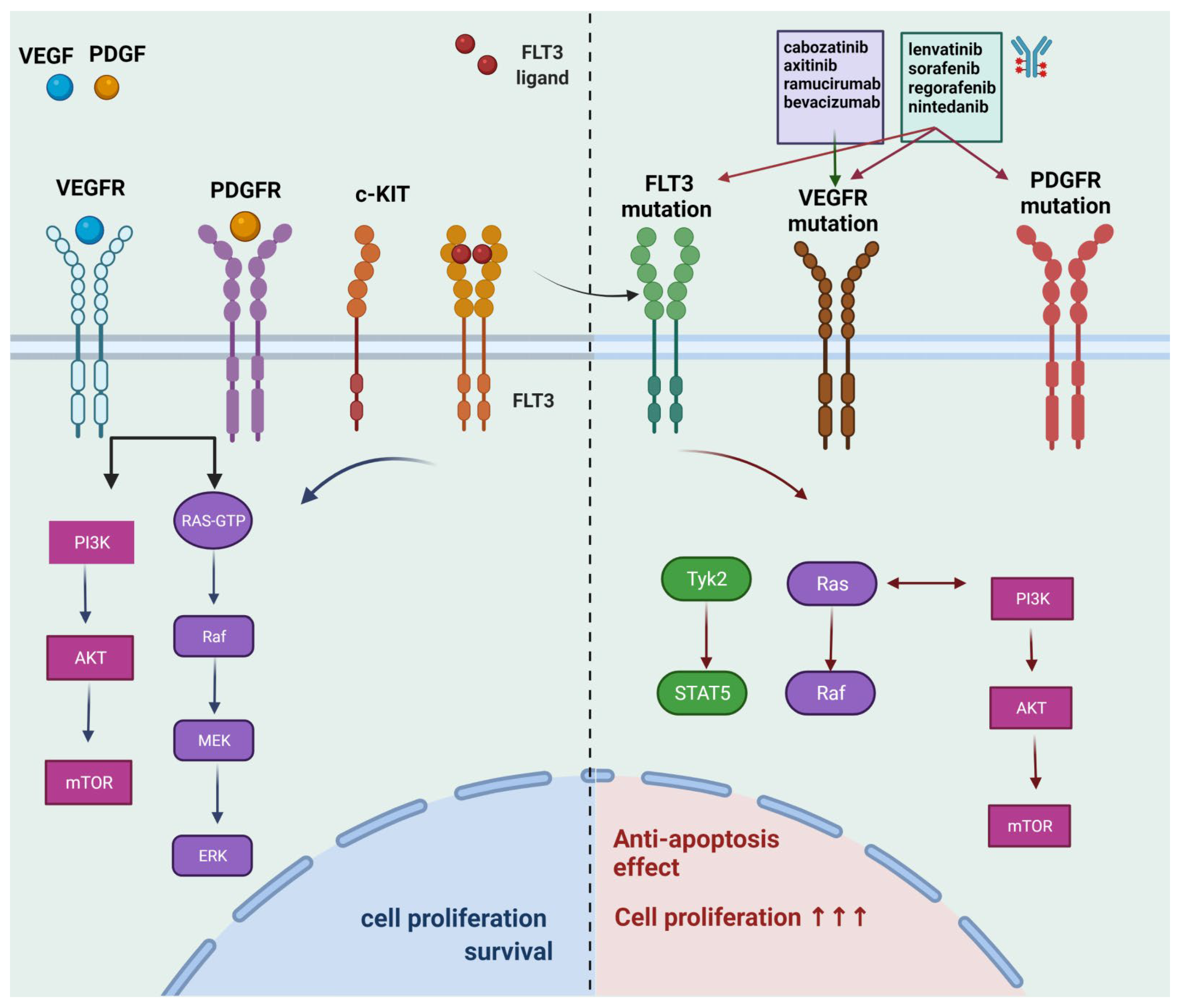 Life 12 00665 g001 550