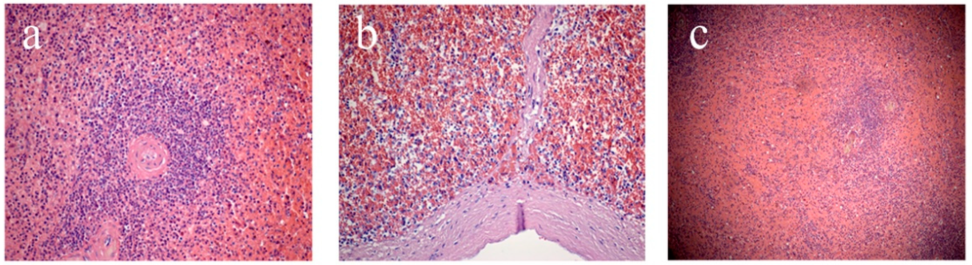 Life 12 00673 g001 550