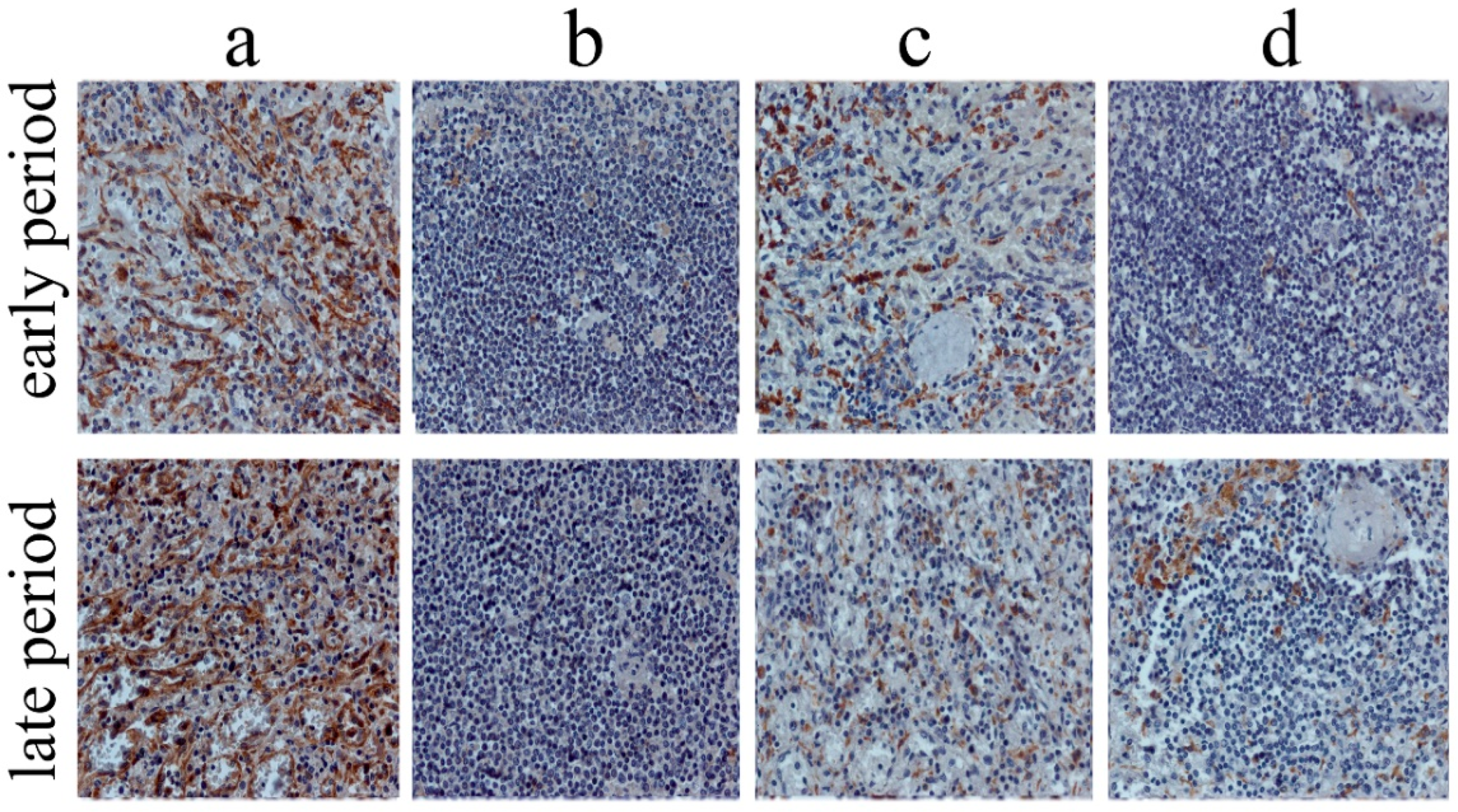 Life 12 00673 g002 550