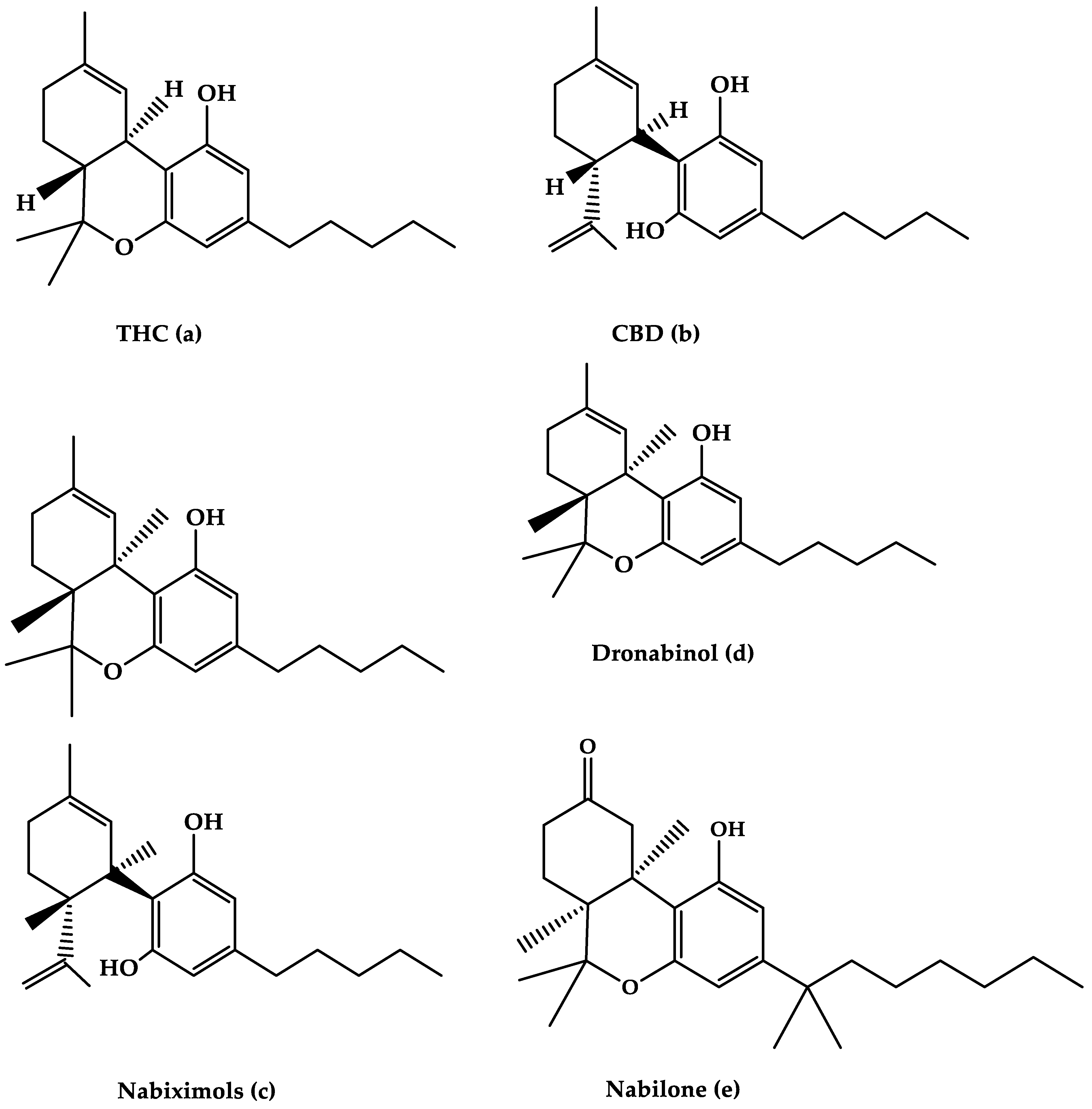 Life 12 00682 g001 Life 12 00682 g001