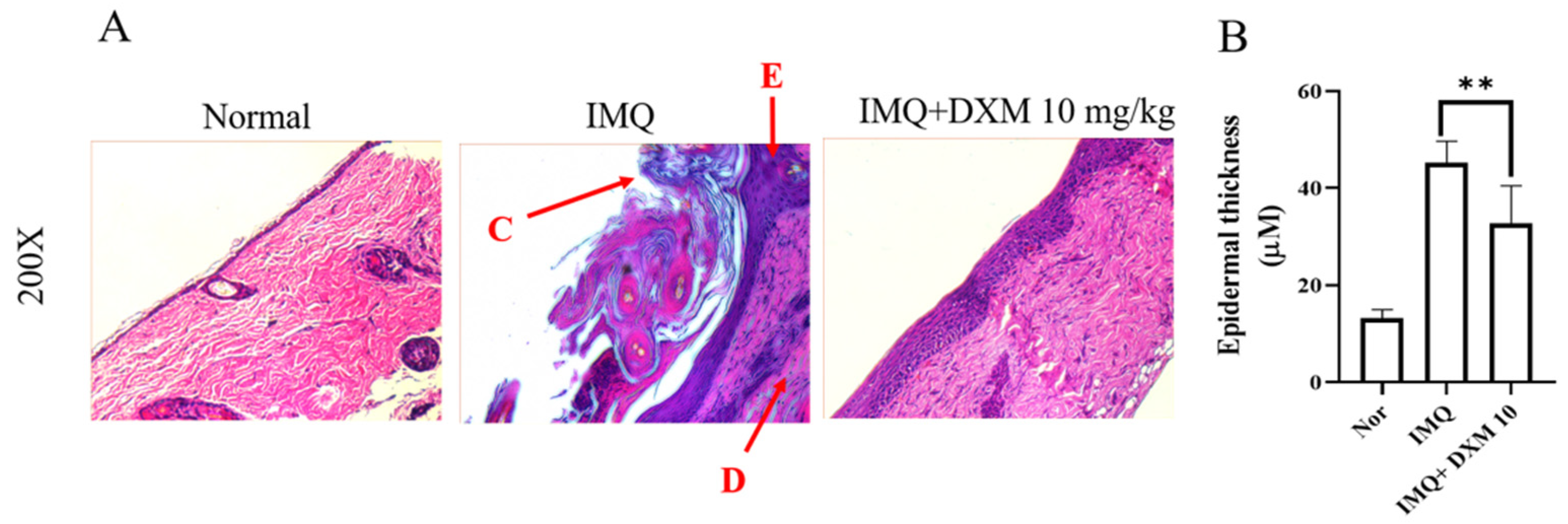 Life 12 00696 g005 550