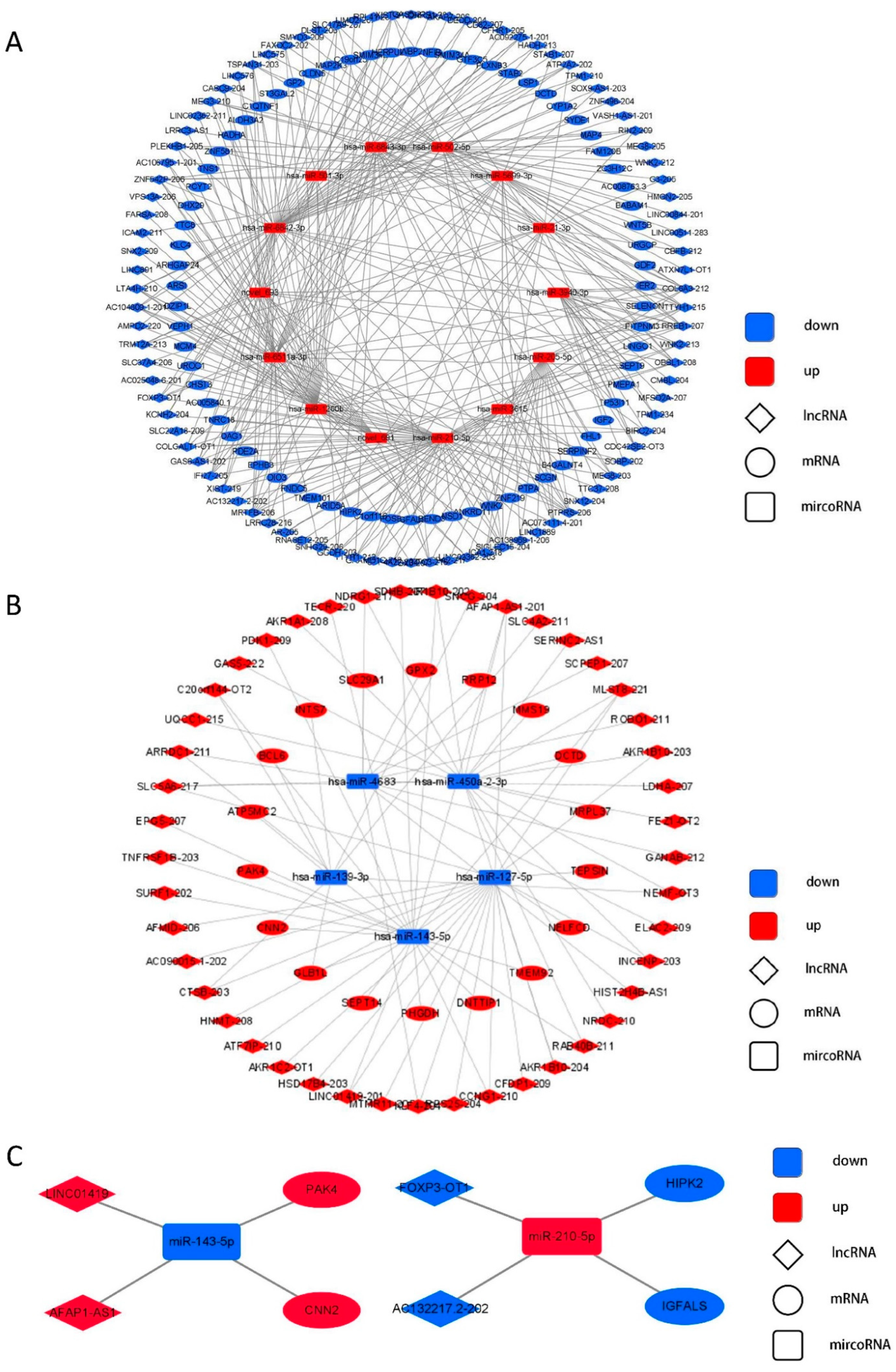 Life 12 00701 g007 550